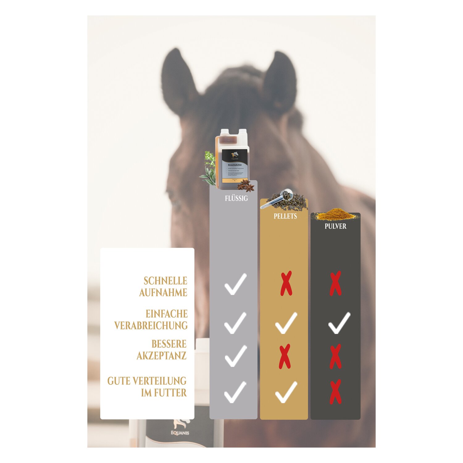 EQUANIS BronchoActive – Ansicht 5