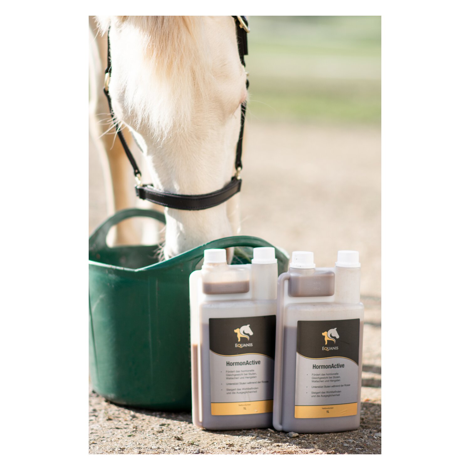 EQUANIS Hormon Active – Ansicht 3