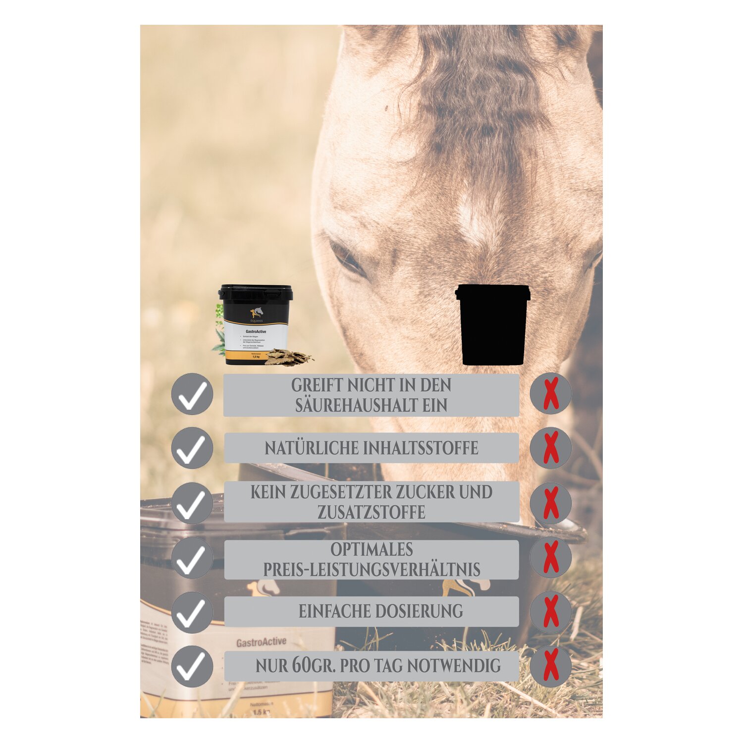 EQUANIS GastroActive – Ansicht 4
