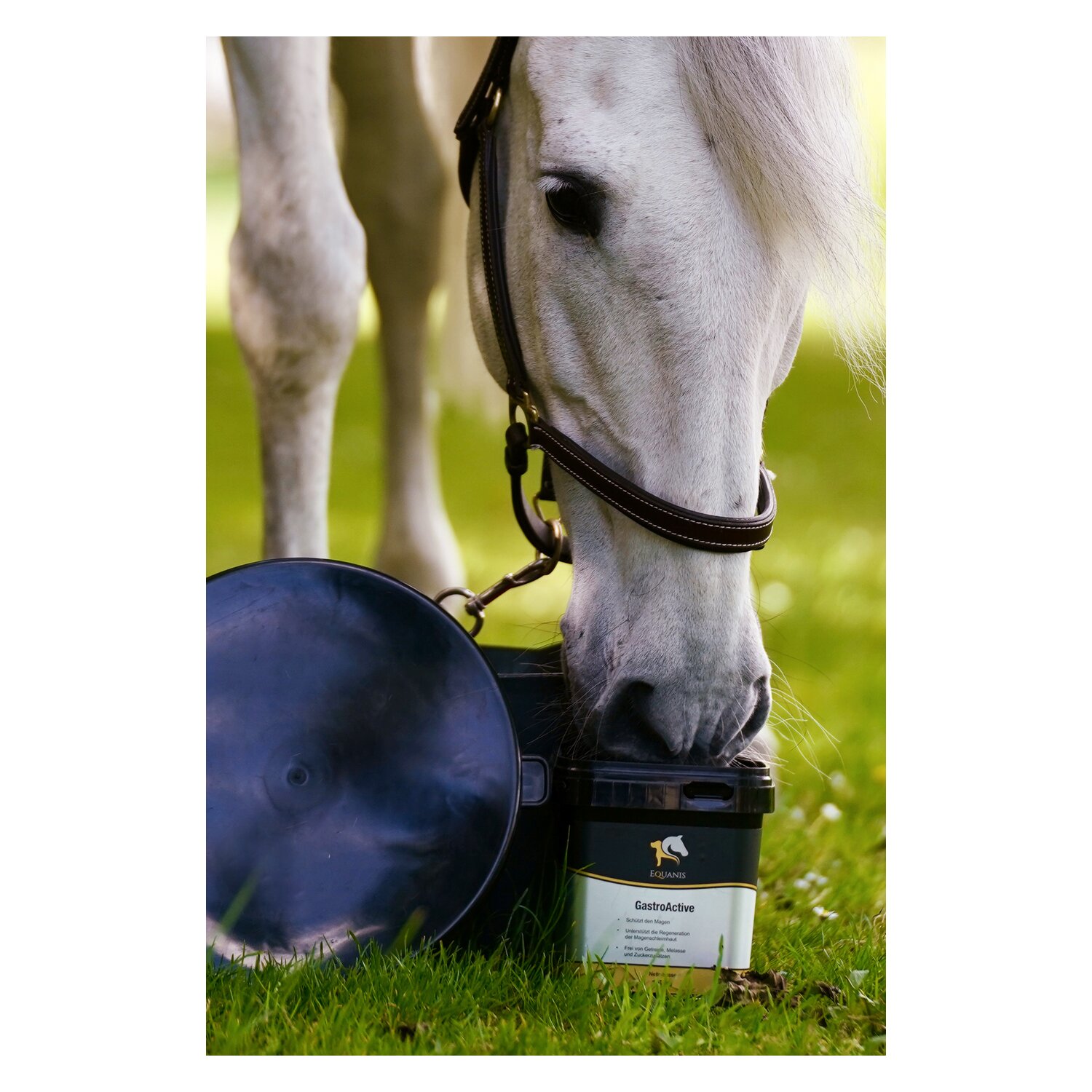 EQUANIS GastroActive – Ansicht 5