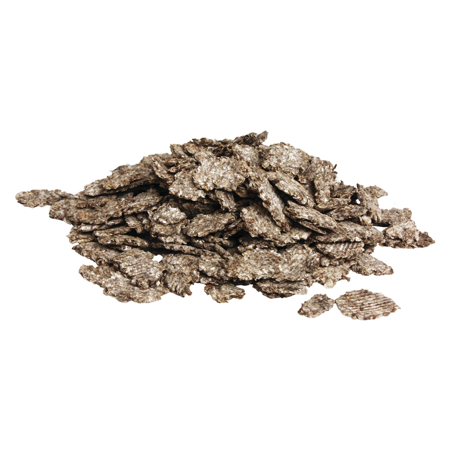 Pavo SpeediBeet – Ansicht 2