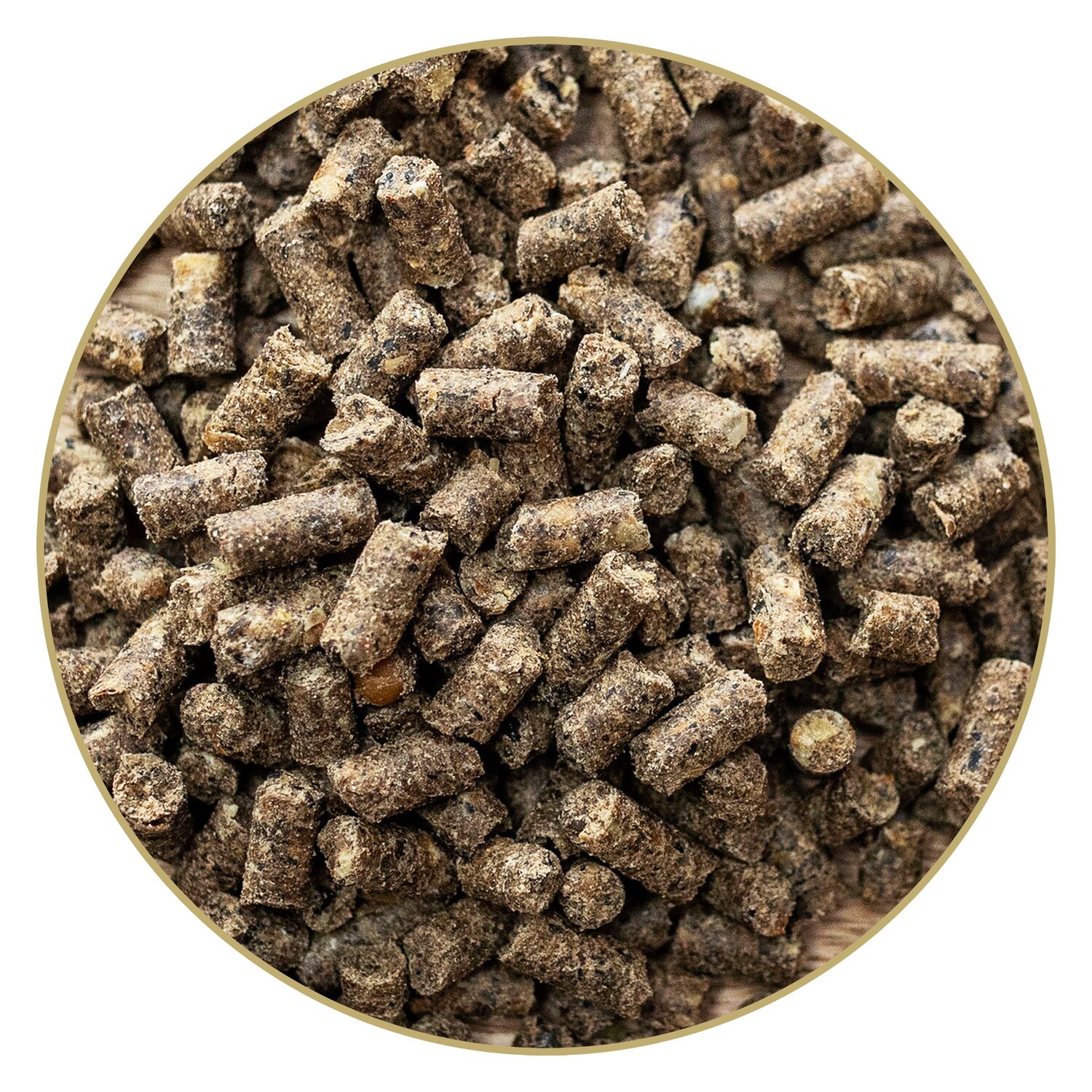 St. Hippolyt Ricelein – Ansicht 2