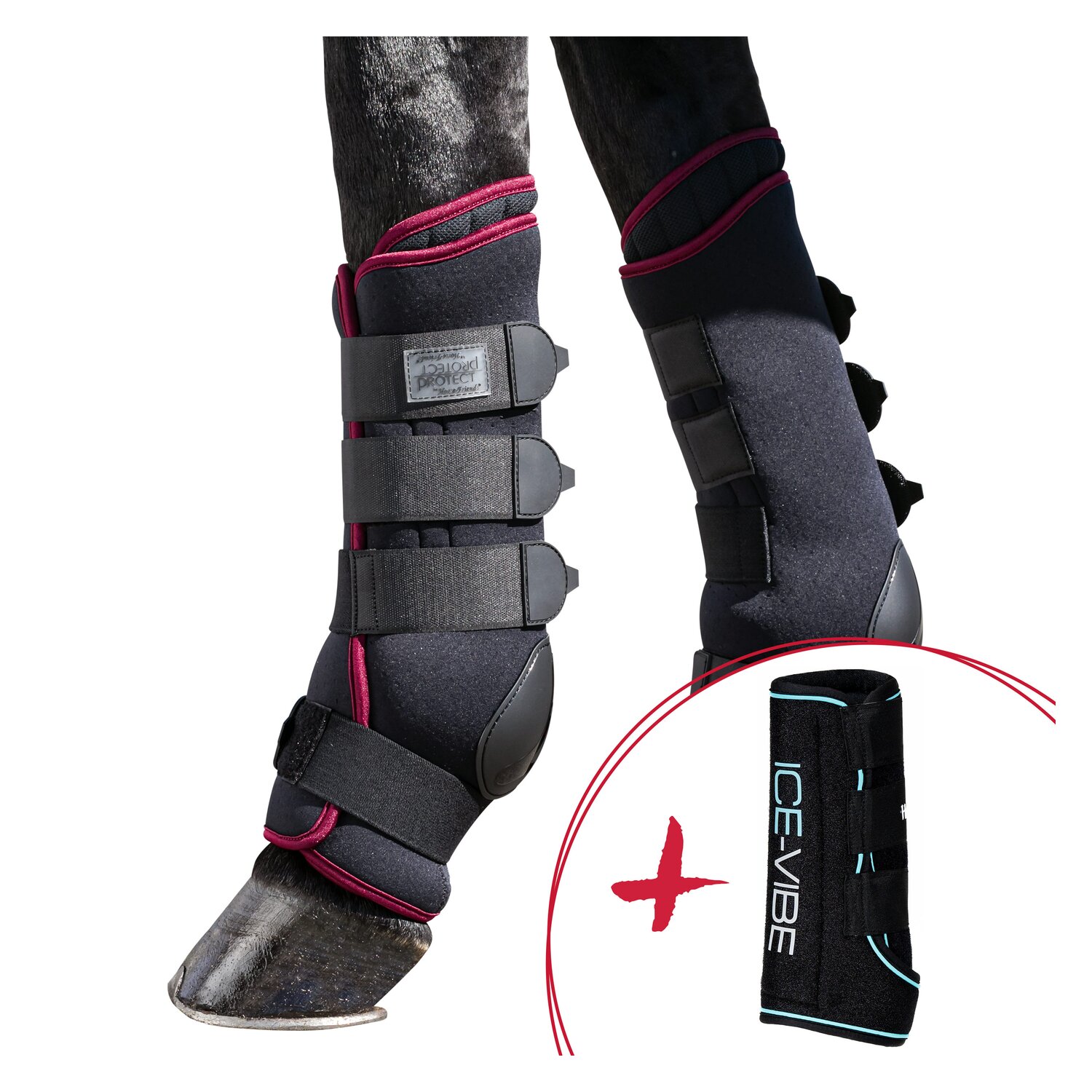 HORSEWARE & PROTECT by Horse-friends Set Wellness - Ices-Vibes und Stallgamaschen – Ansicht 1