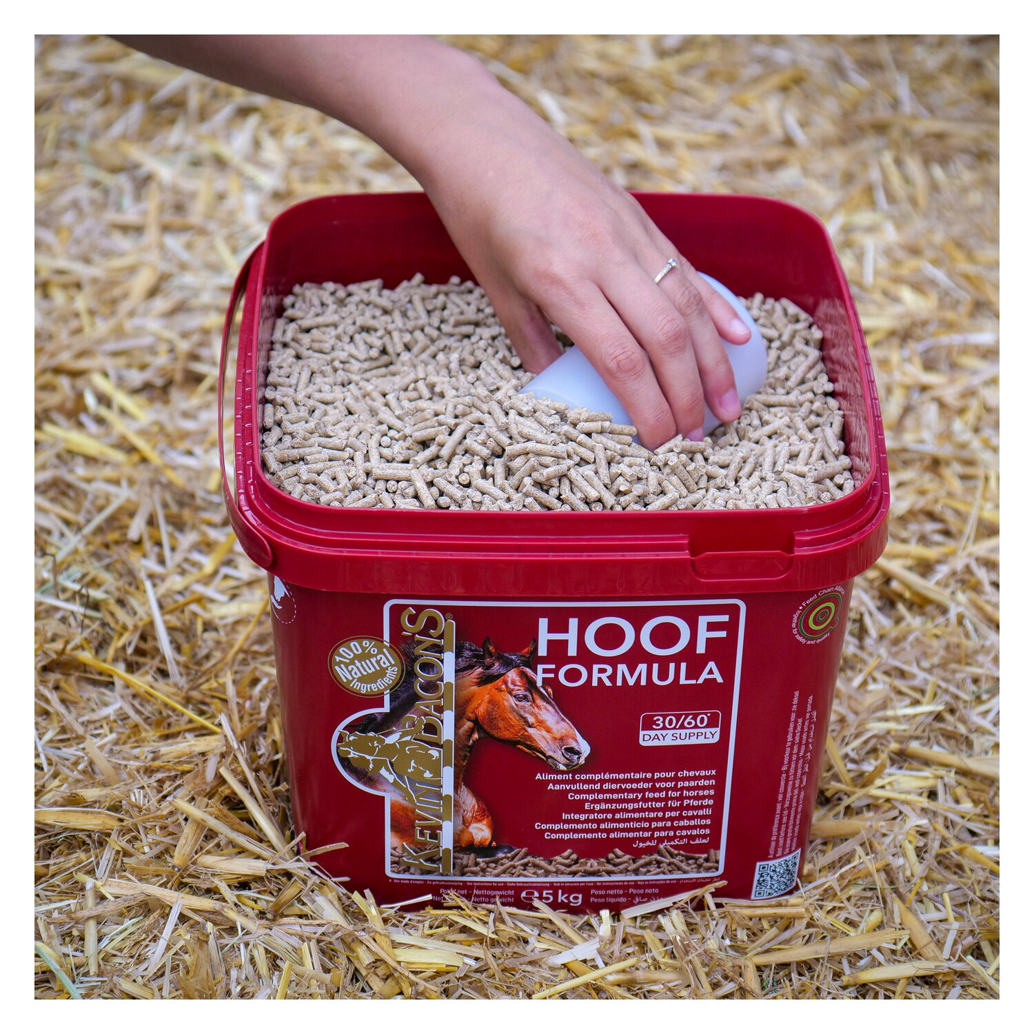 KEVIN BACON'S Hoof Formula – Ansicht 2