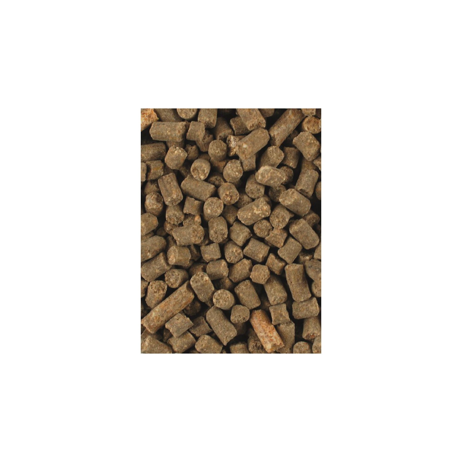 ATCOM Rehe-Vital – Ansicht 2