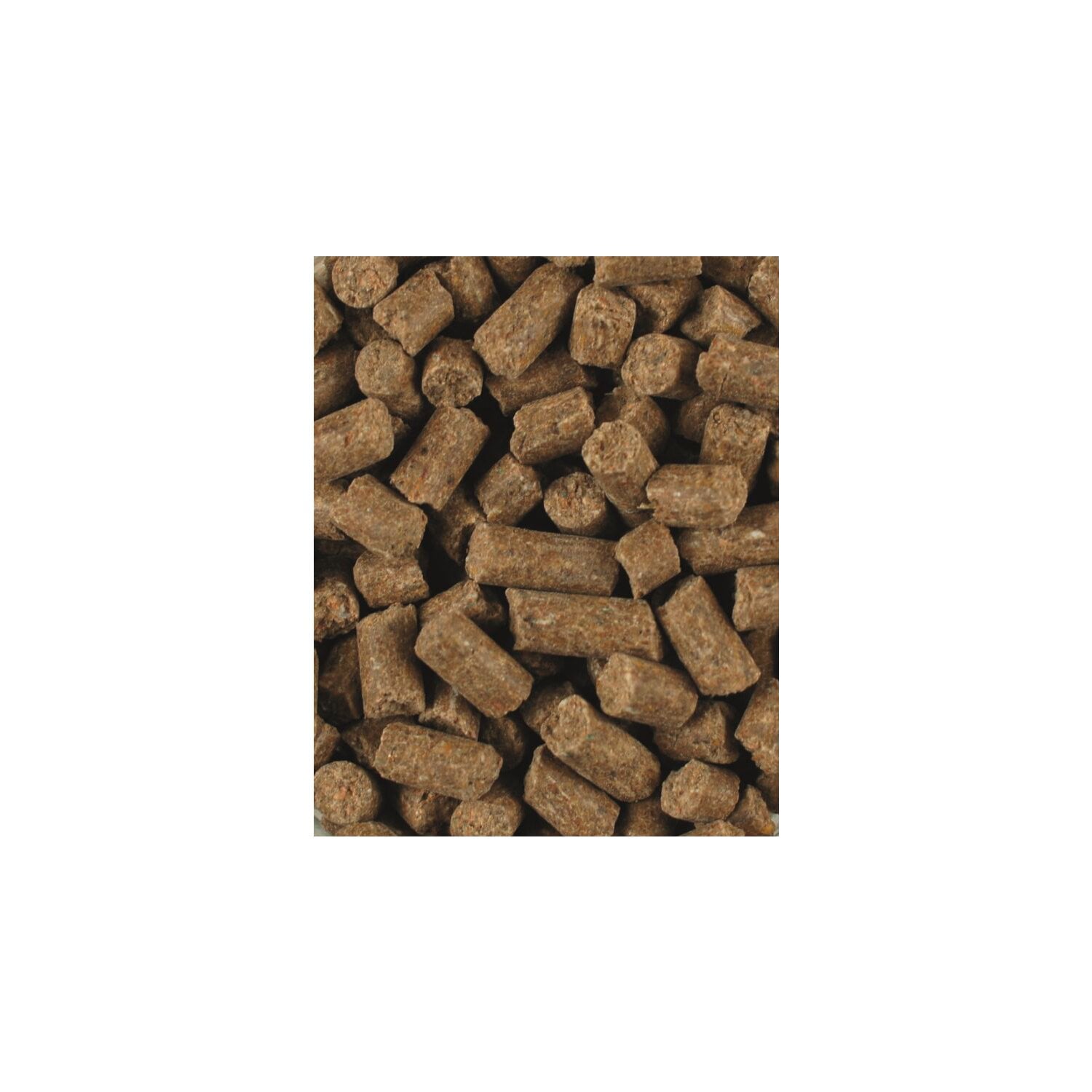 ATCOM Senior-Vital – Ansicht 2