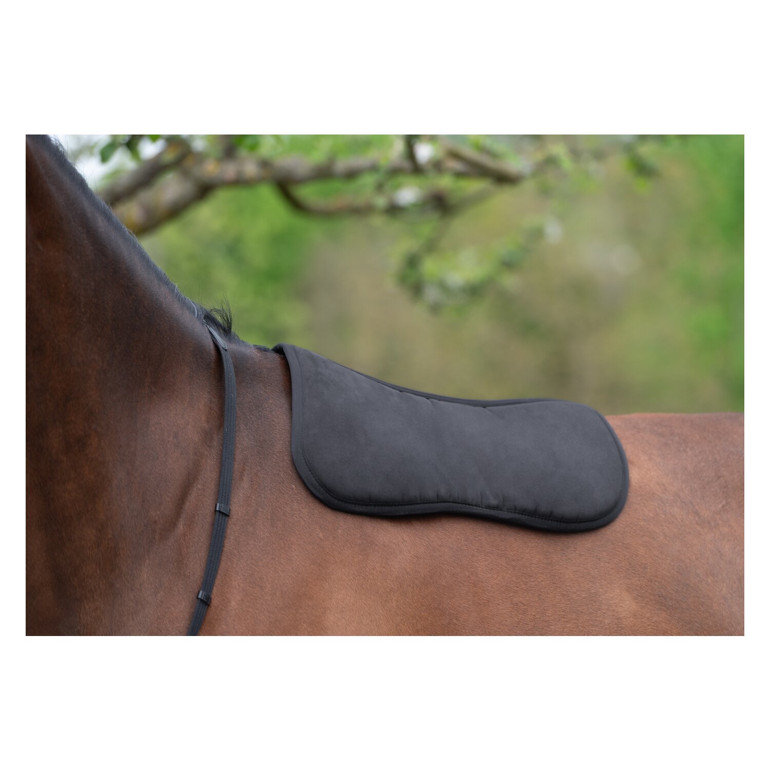 Horse-friends Memory-Foam-Pad – Ansicht 2