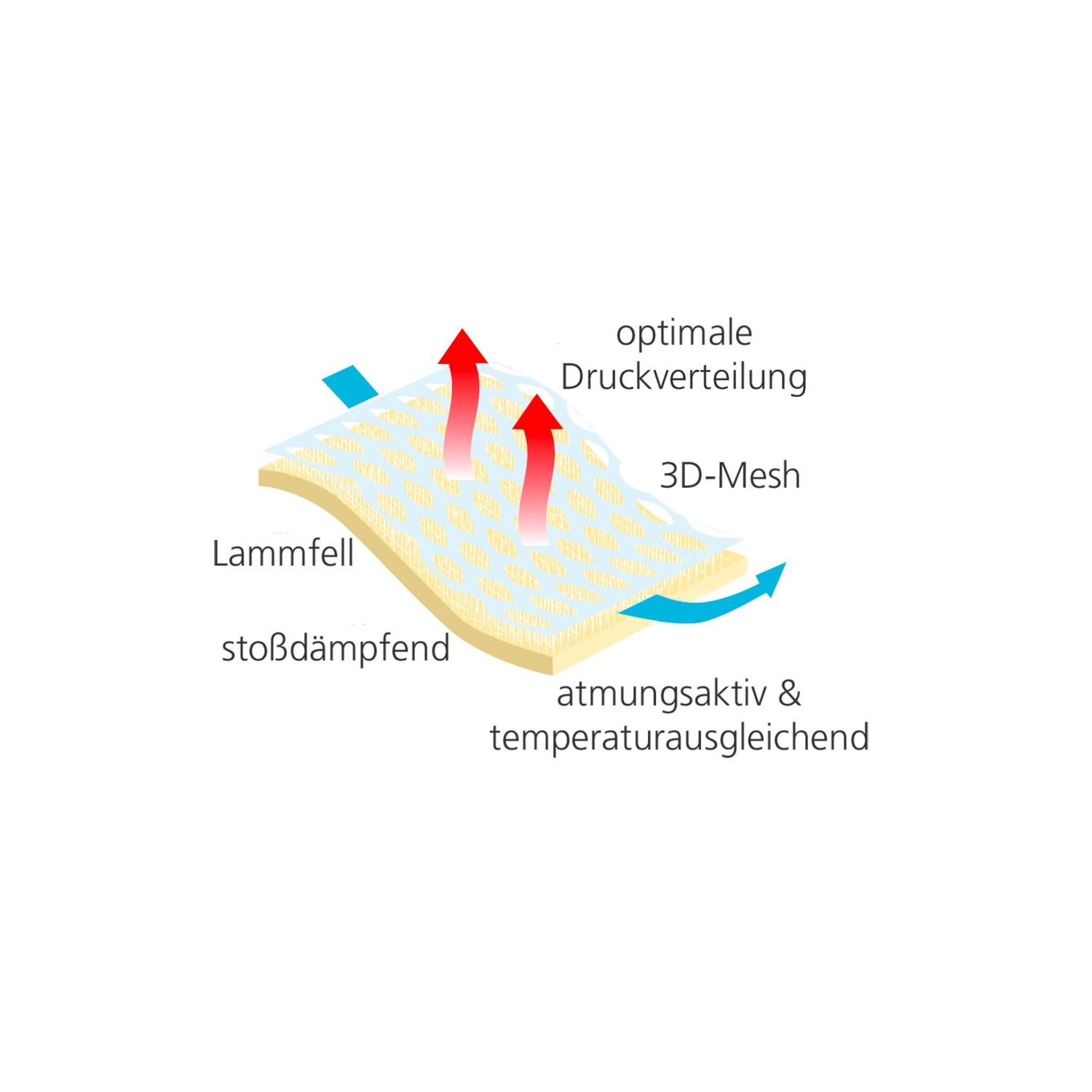 Horse-friends Lammfellpad 3D Mesh – Ansicht 2