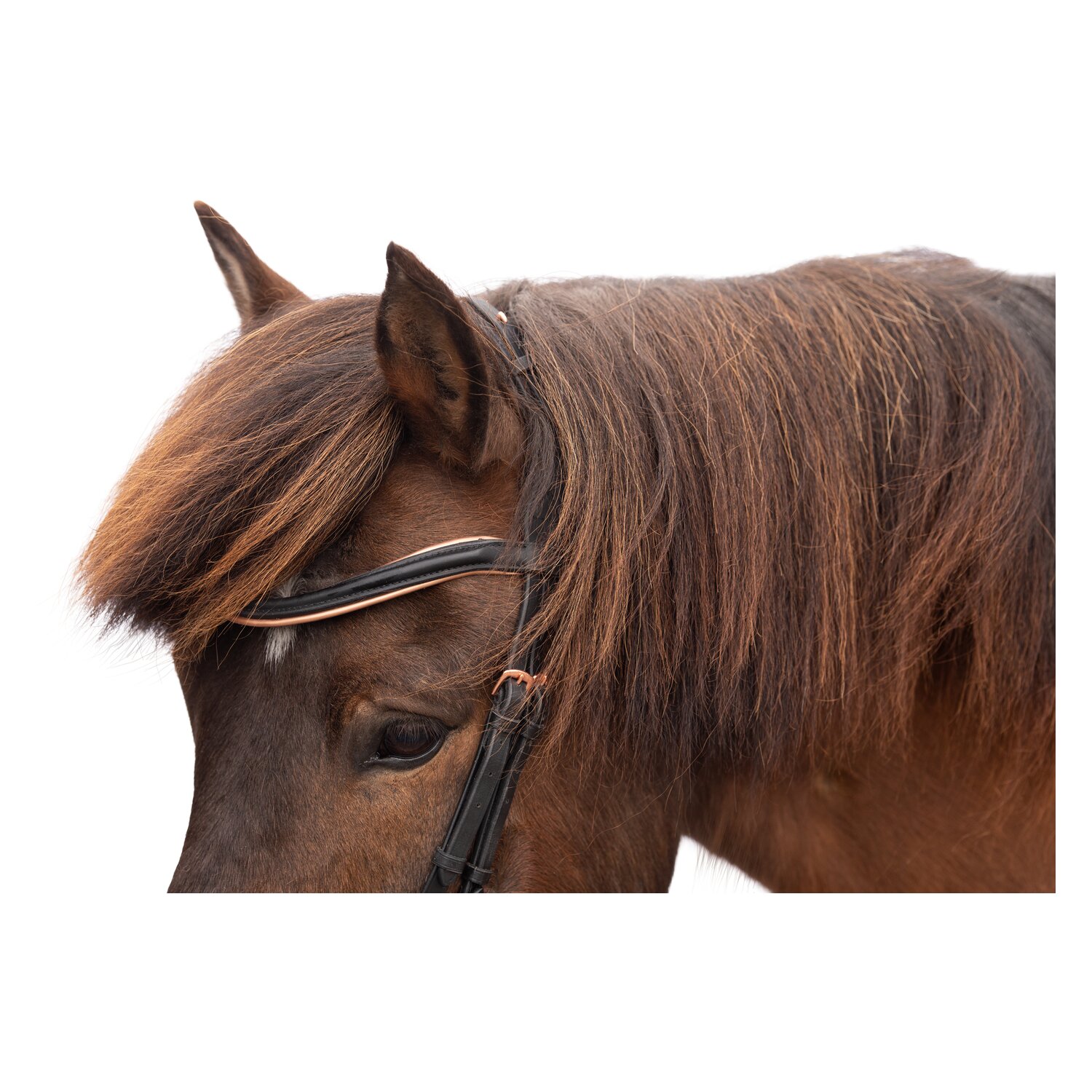 WALDHAUSEN Island-Trensenzaum Rosé &ndash; Ansicht 3