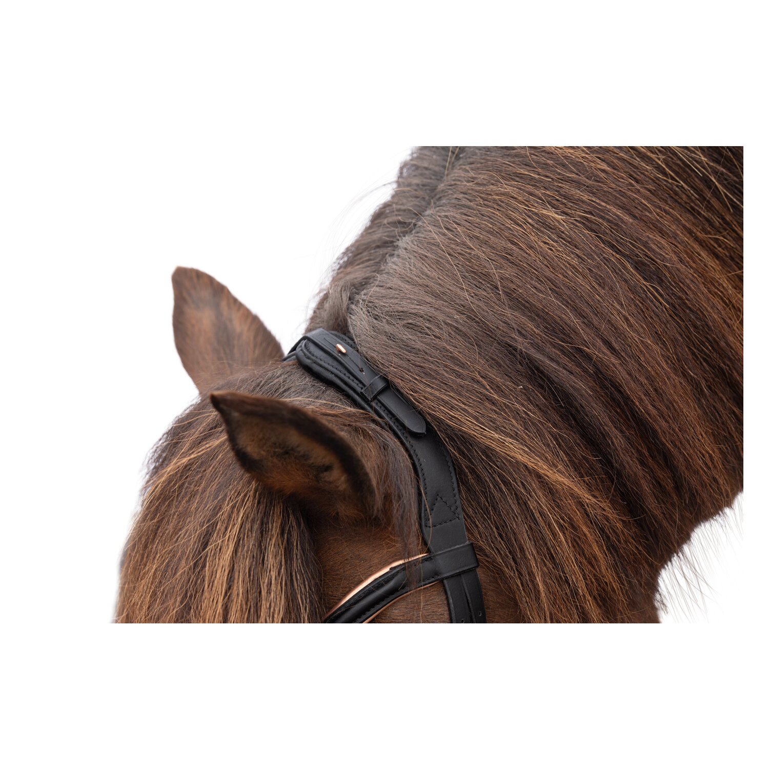 WALDHAUSEN Island-Trensenzaum Rosé &ndash; Ansicht 2