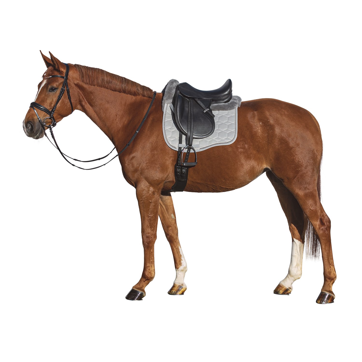 MATTES Schabracke Eurofit Samt – Ansicht 2