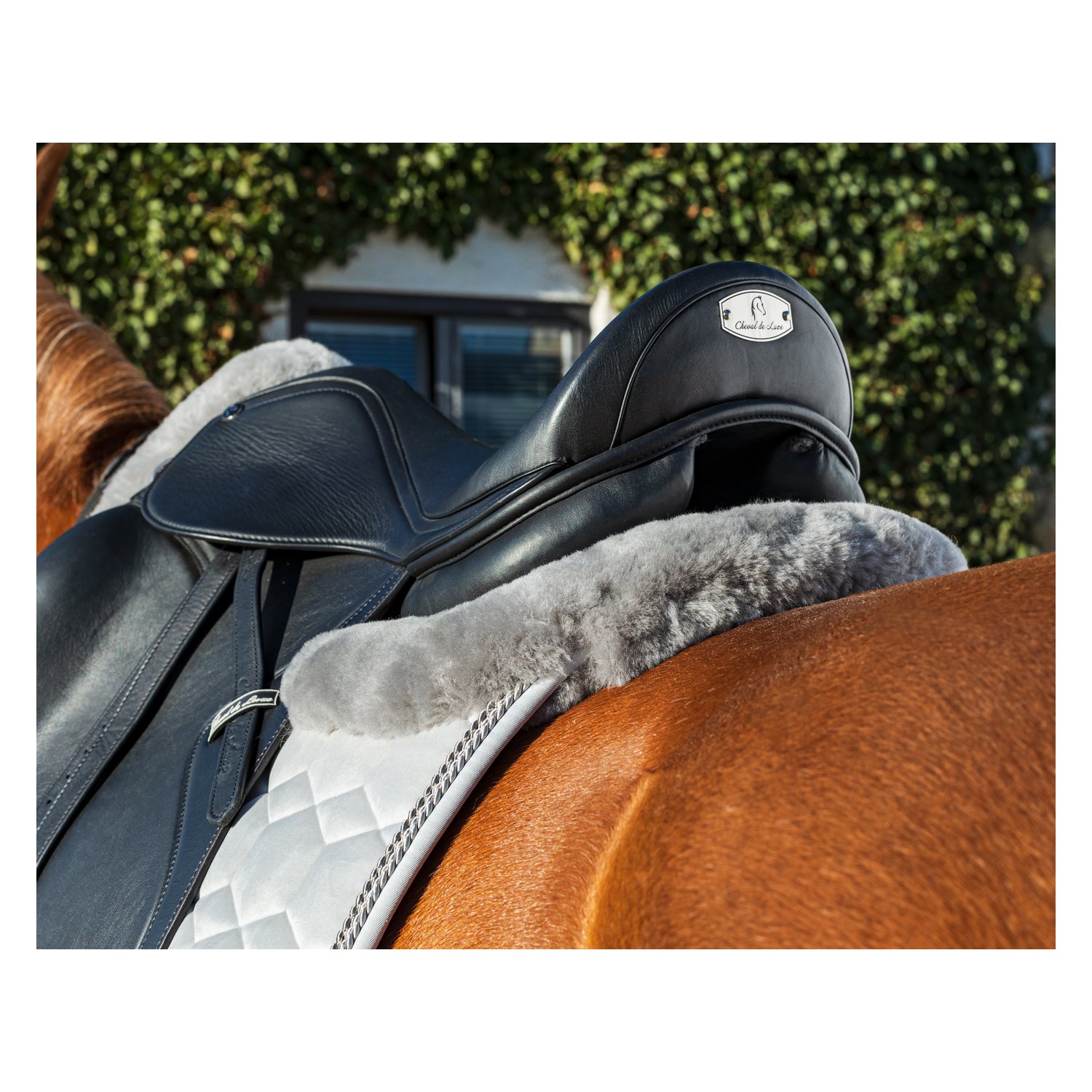 MATTES Schabracke Eurofit Samt – Ansicht 4