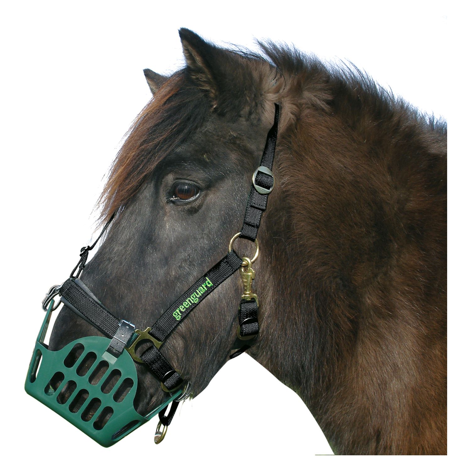 greenguard Halfter – Ansicht 1