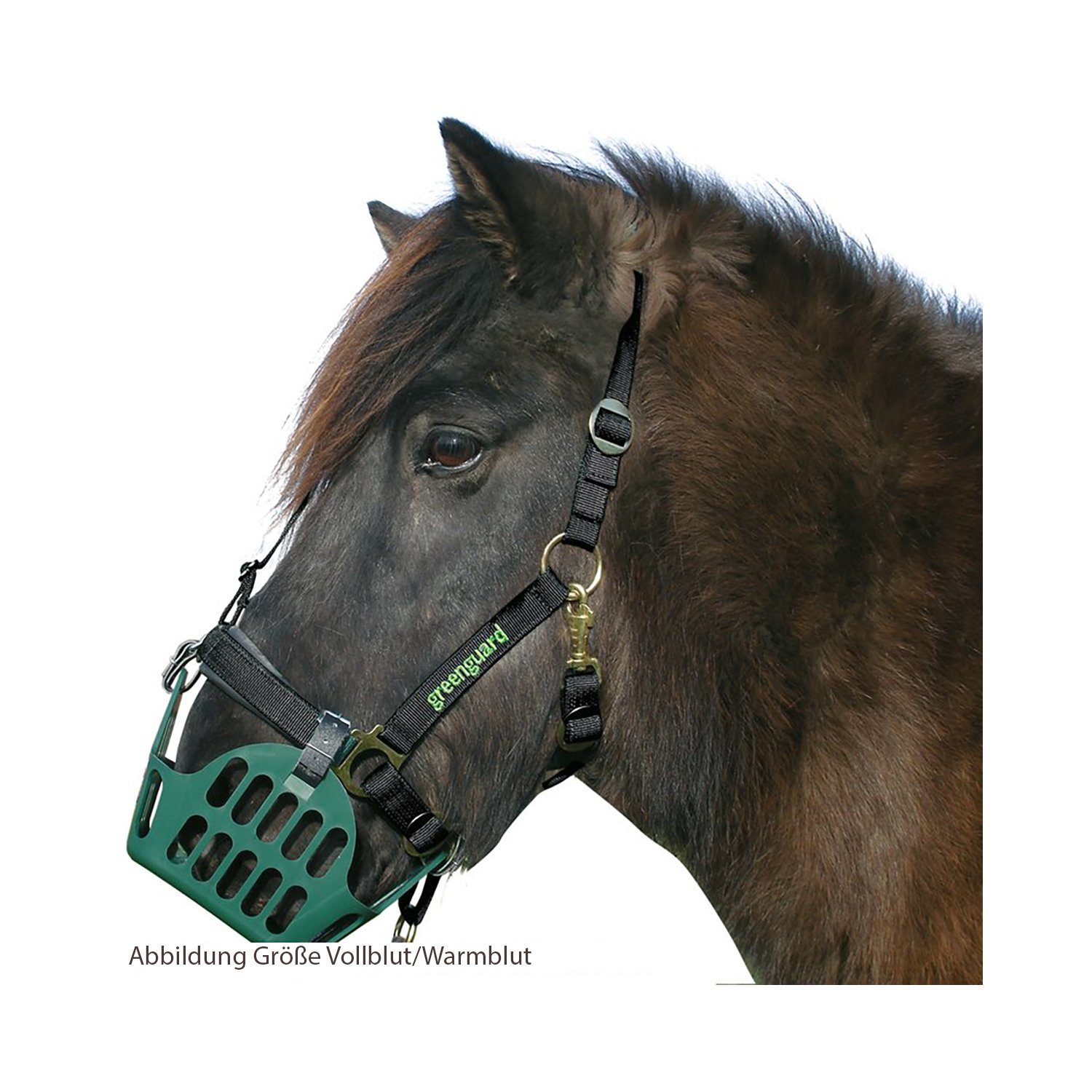 greenguard Maulkorb – Ansicht 4