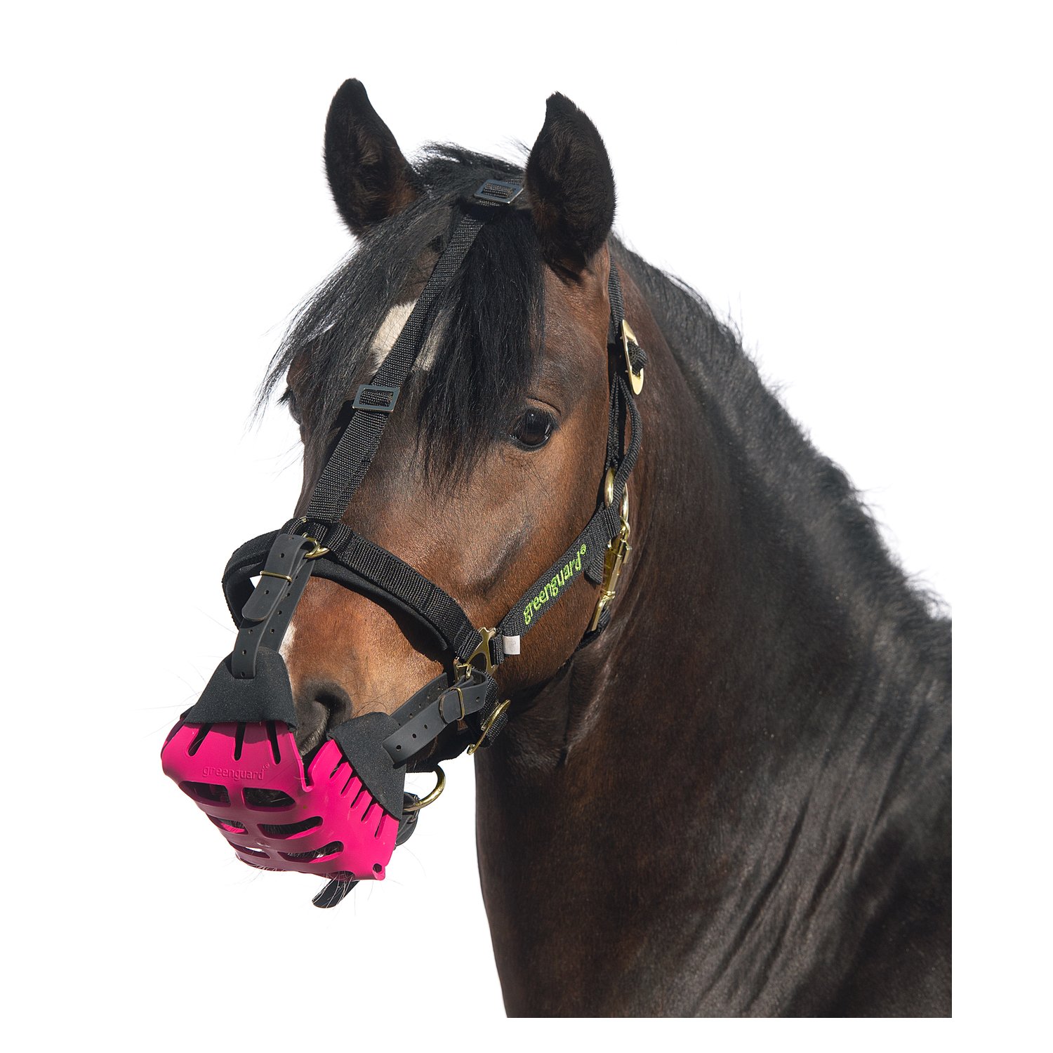 greenguard Maulkorb – Ansicht 5
