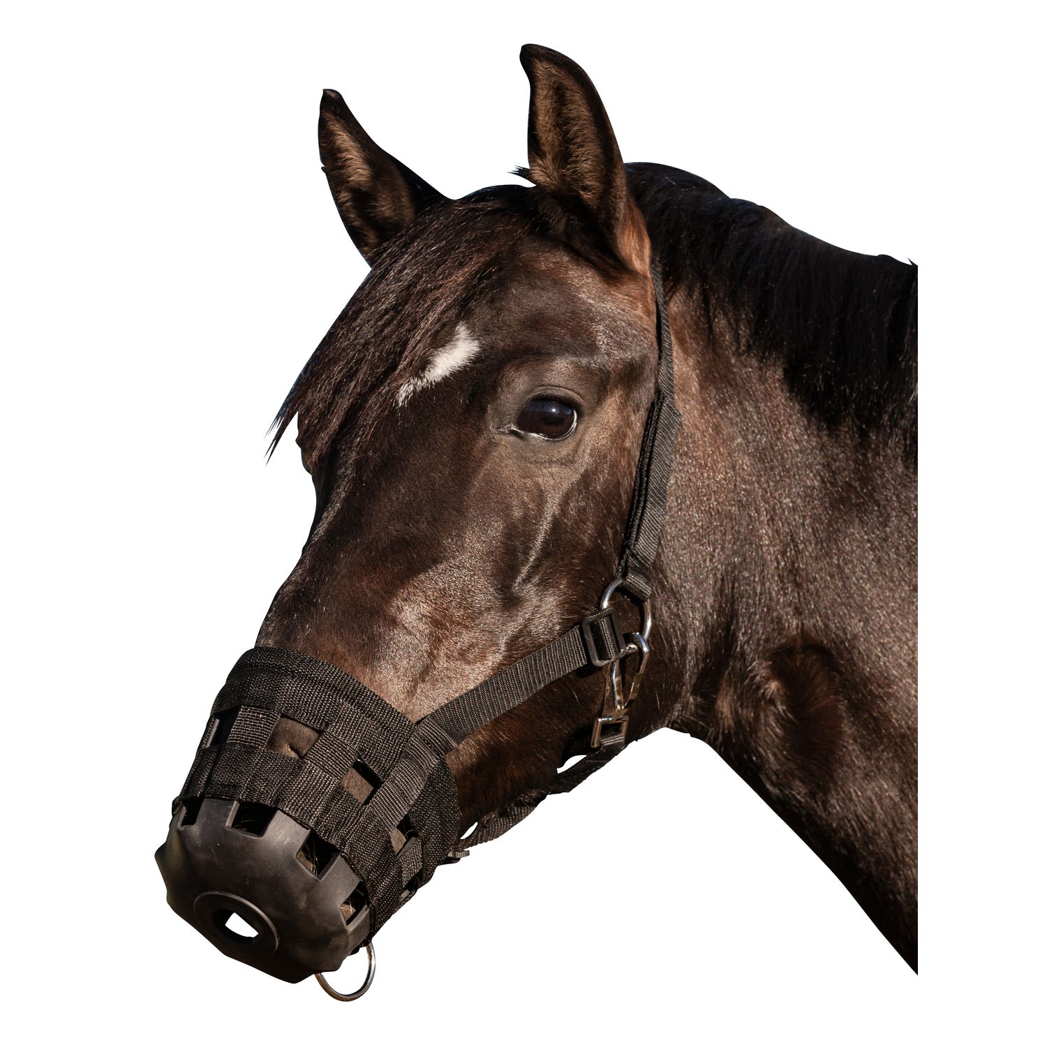 Horse-friends Weidemaulkorb mit PP-Webhalfter – Ansicht 1