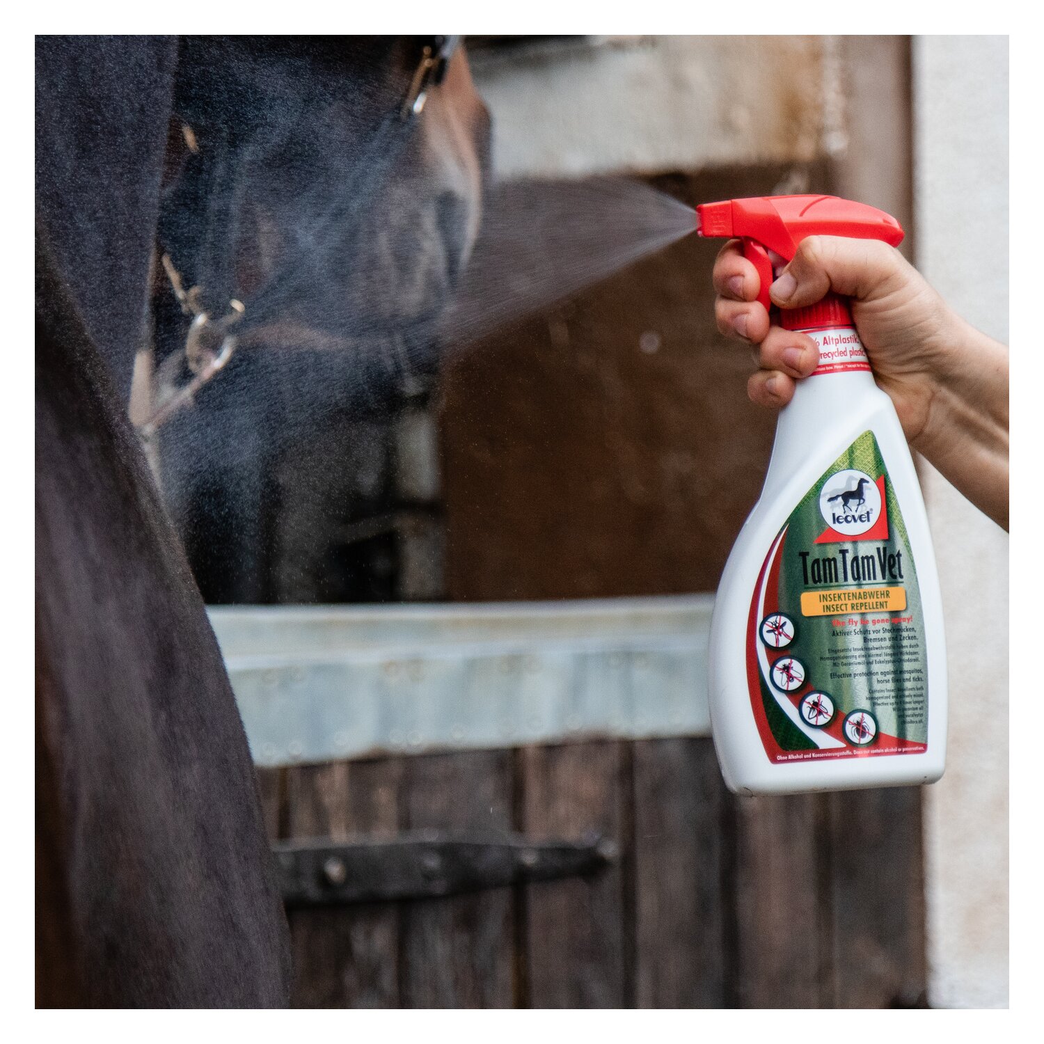 leovet TamTamVet &ndash; Ansicht 4