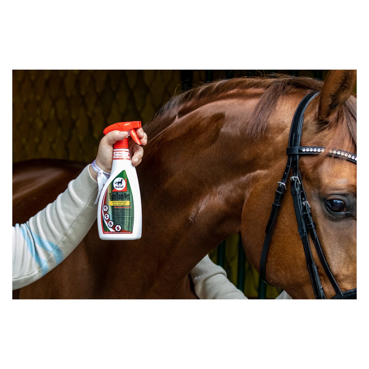 leovet TamTamVet &ndash; Ansicht 3