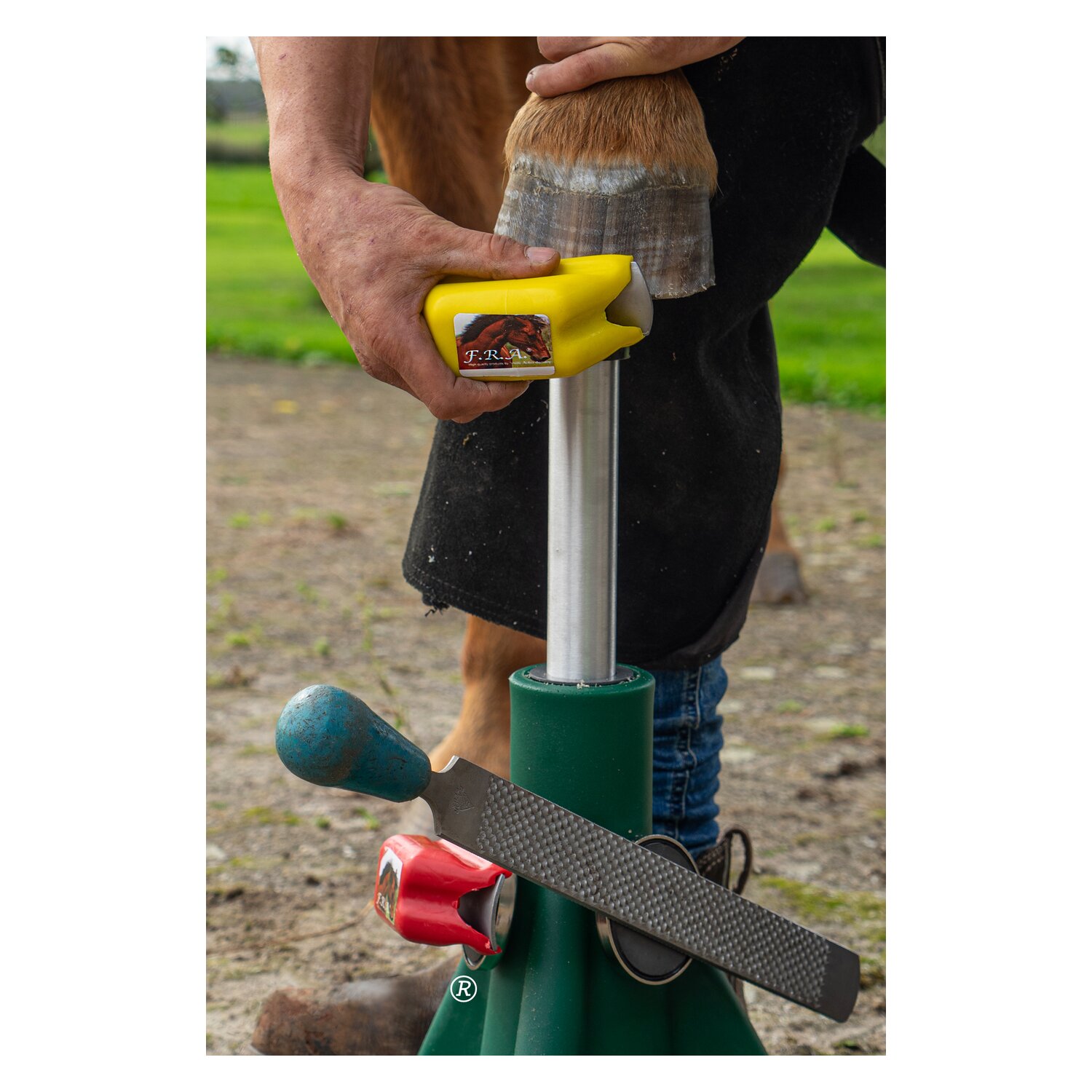 F. R. A. Einfache Hufraspel – Ansicht 6