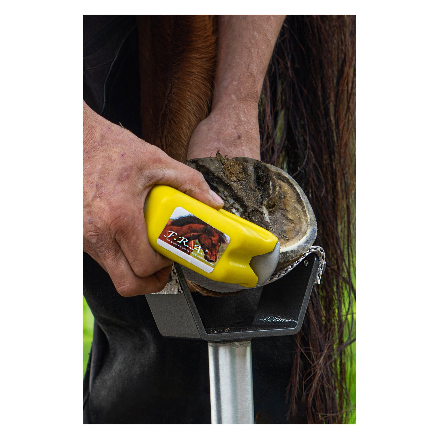 F. R. A. Einfache Hufraspel – Ansicht 2