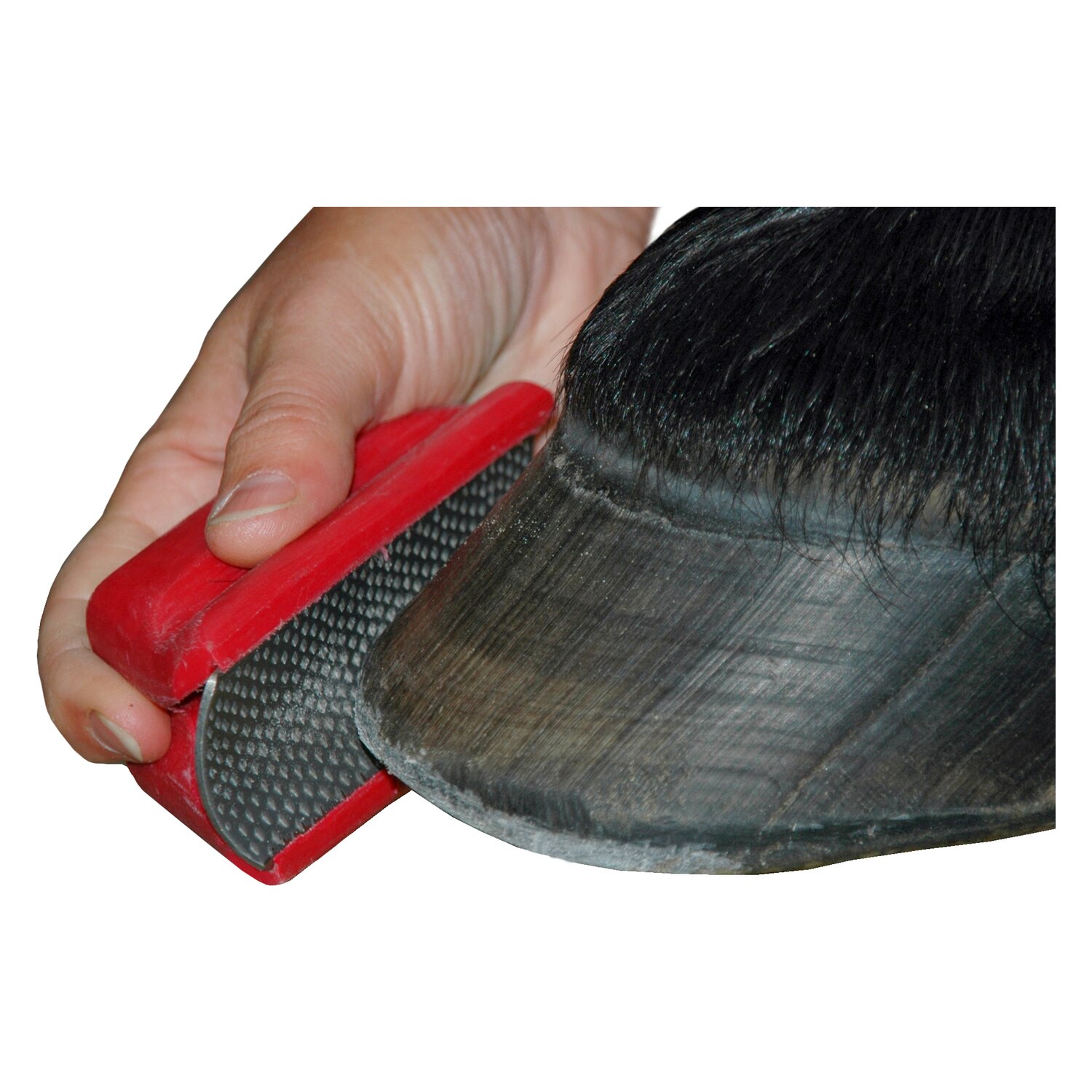 F. R. A. Einfache Hufraspel – Ansicht 2