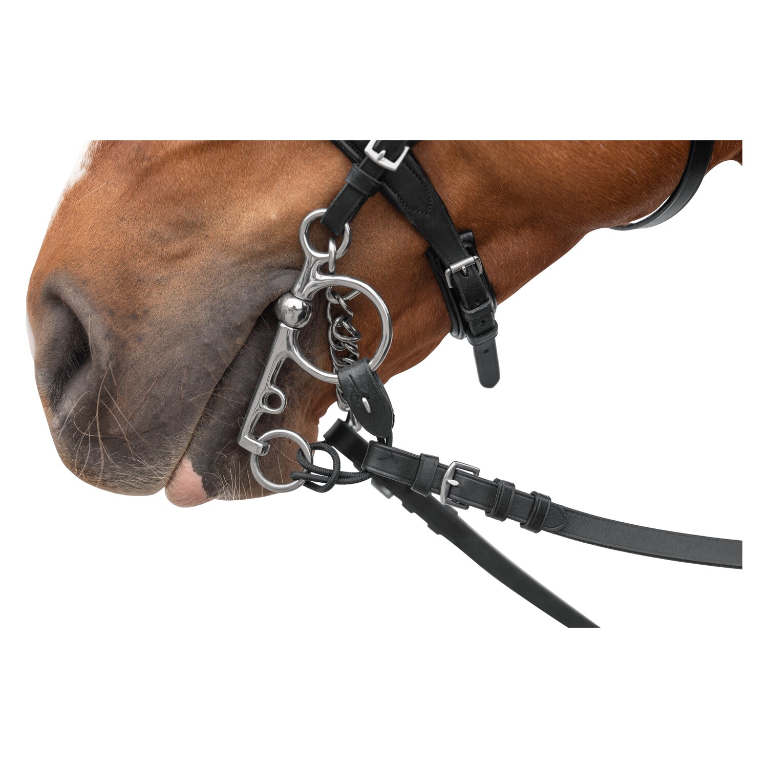 Horse-friends Pelham-Riemchen – Ansicht 2