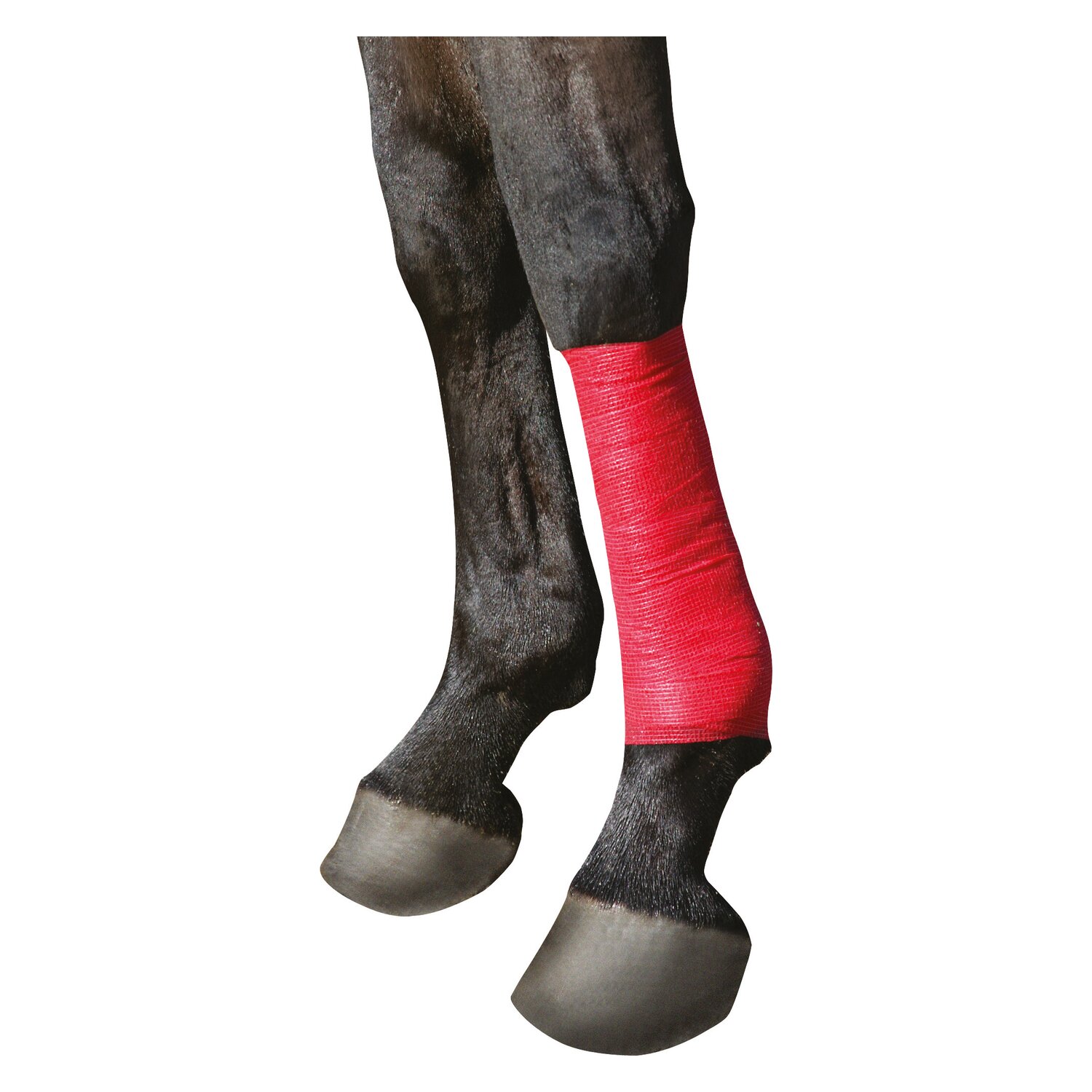 KERBL Selbsthaftende Bandage EquiLastic – Ansicht 2