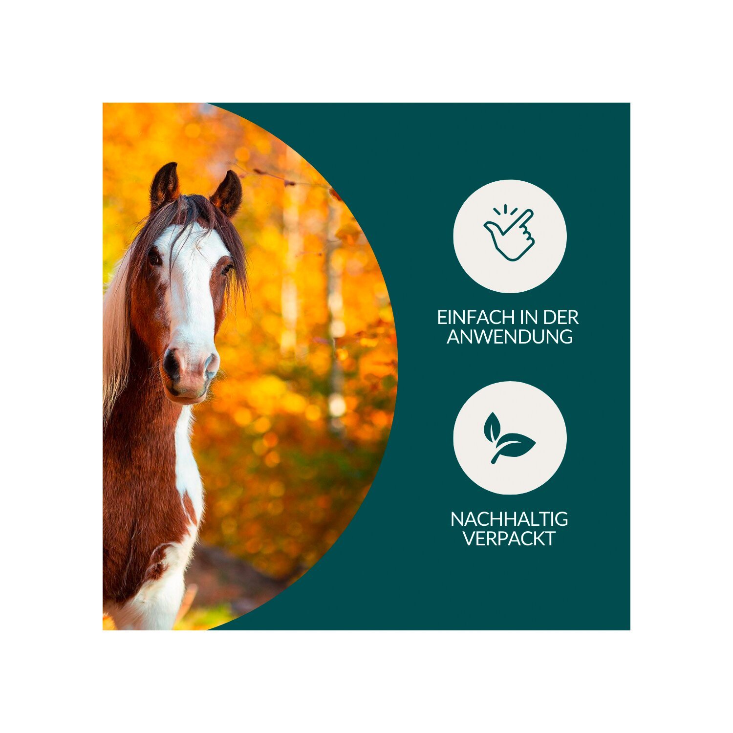 vetevo Wurmtest – Ansicht 5
