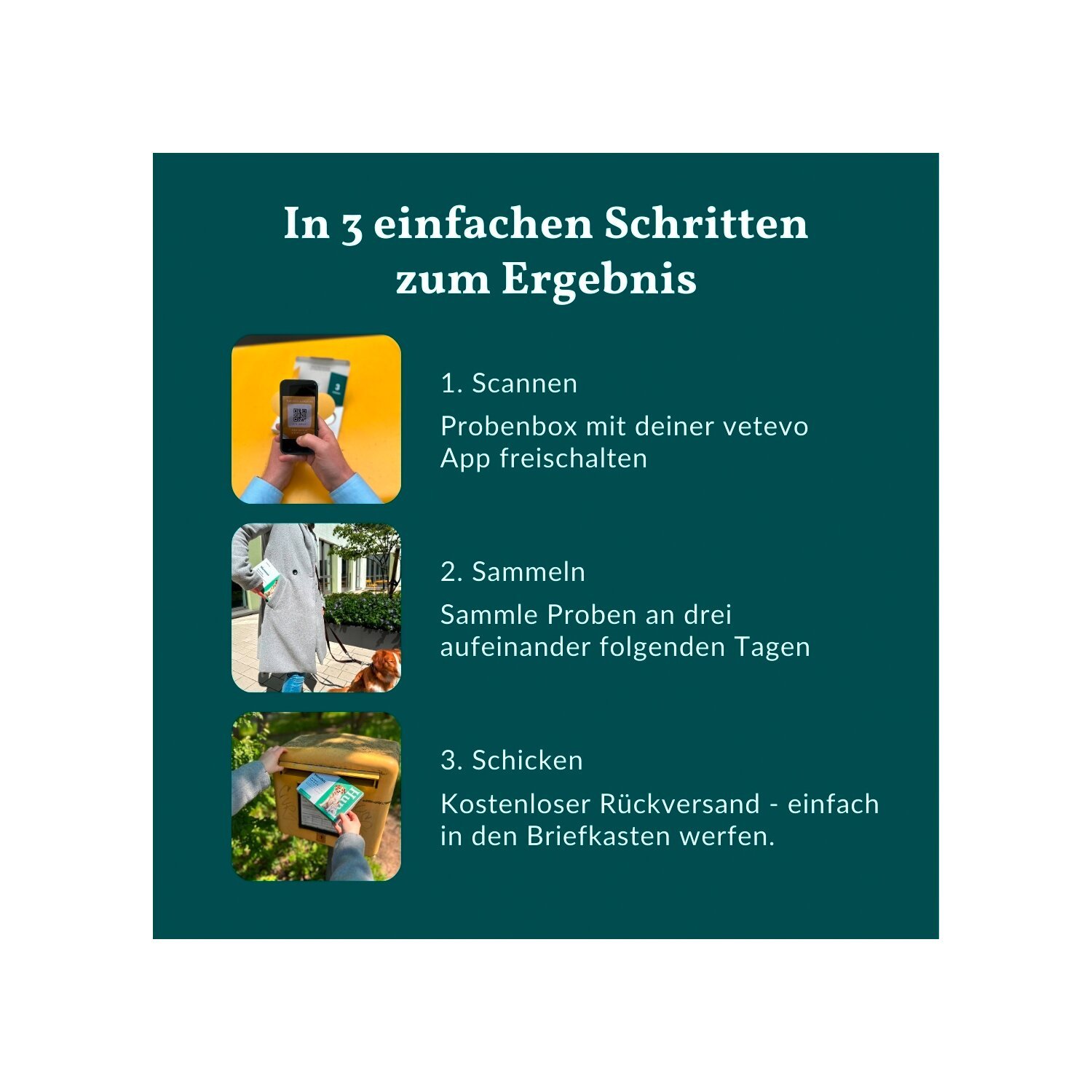 vetevo Wurmtest – Ansicht 6