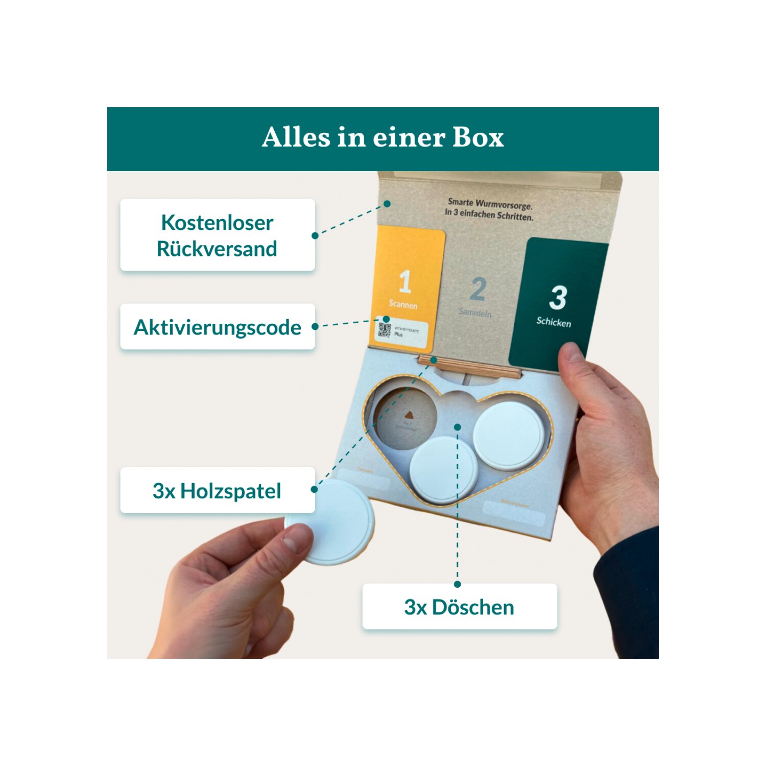 vetevo Wurmtest – Ansicht 7