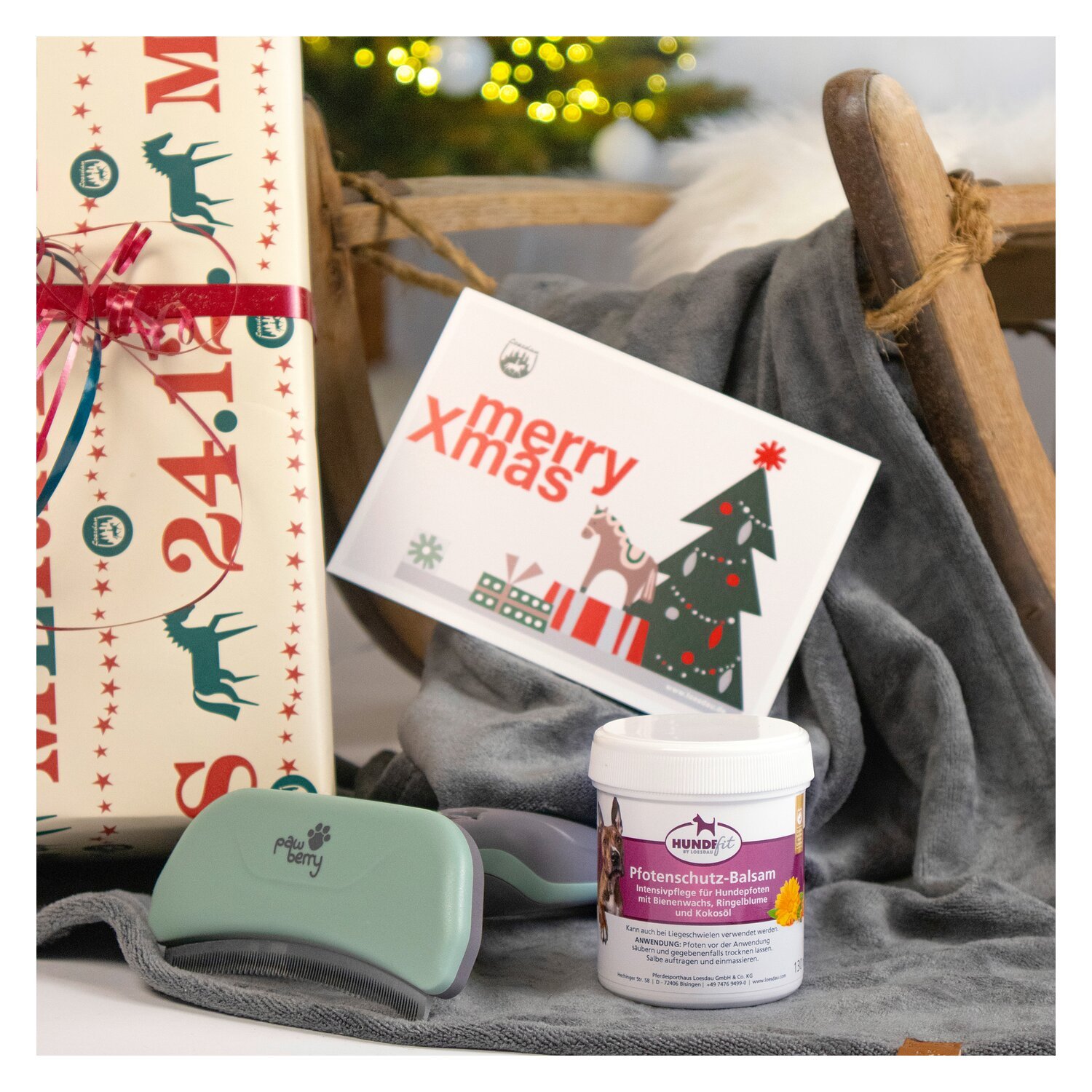 X-MAS Set für Hunde - Pflege, Komfort & Schutz – Ansicht 1