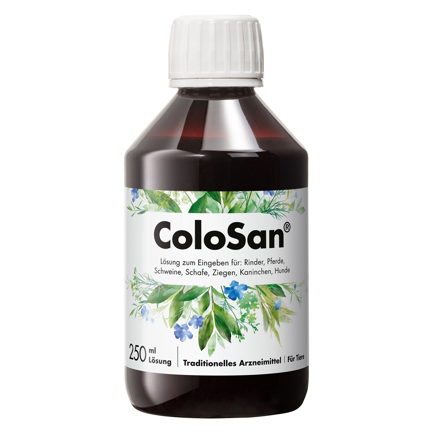 Dr. Schaette ColoSan Darmöl – Ansicht 1