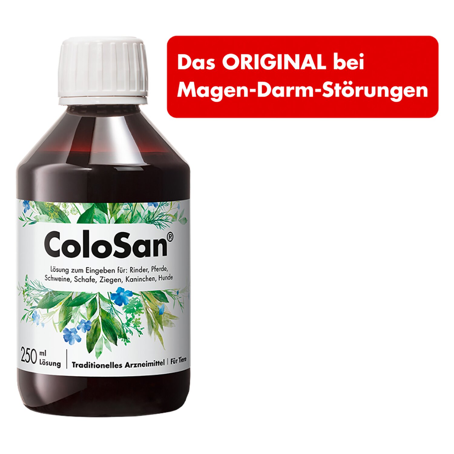 Dr. Schaette ColoSan &ndash; Ansicht 3