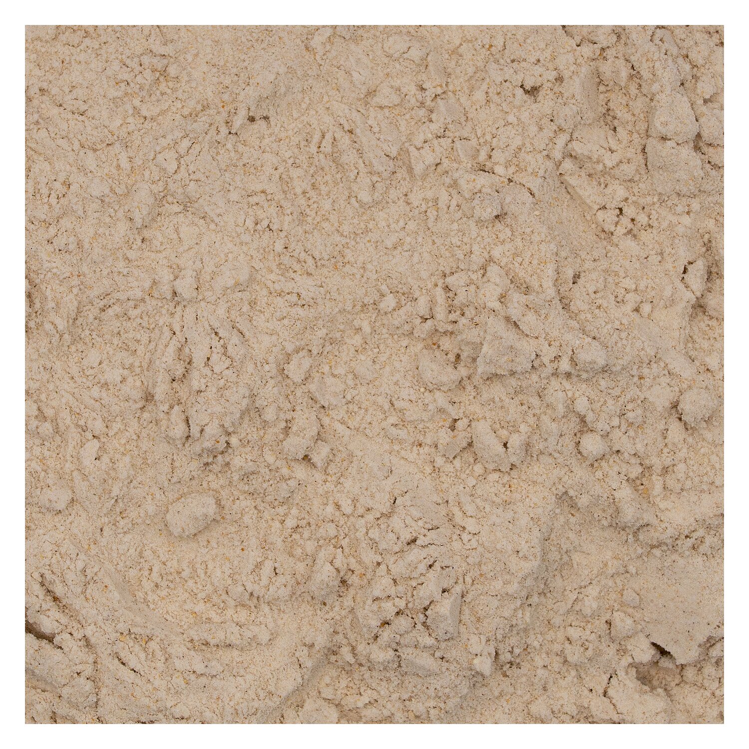 VALETUMED Ingwer-Teufelskralle – Ansicht 2