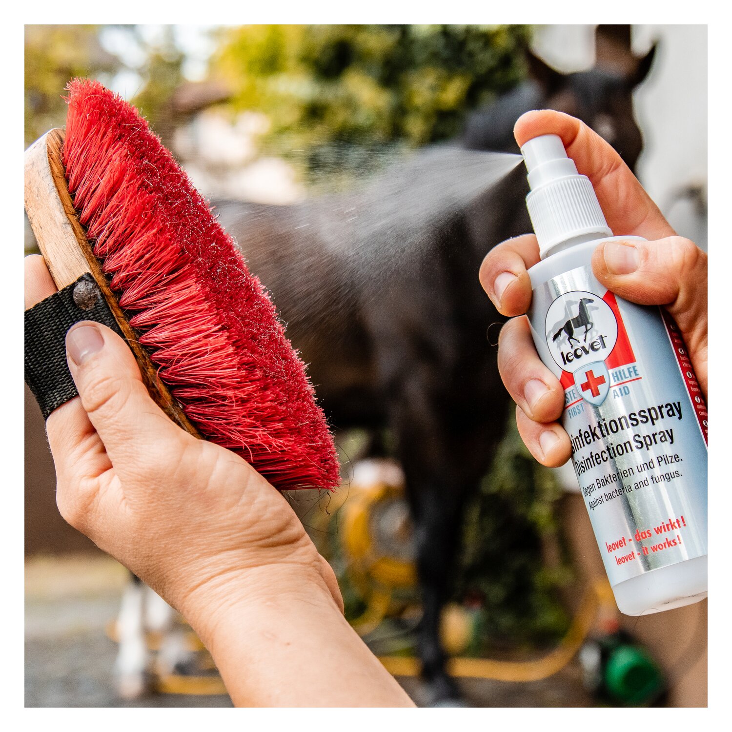 leovet Desinfektionsspray – Ansicht 2