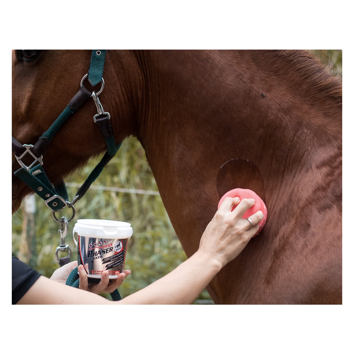 leovet Power Phaser Durativ – Ansicht 3