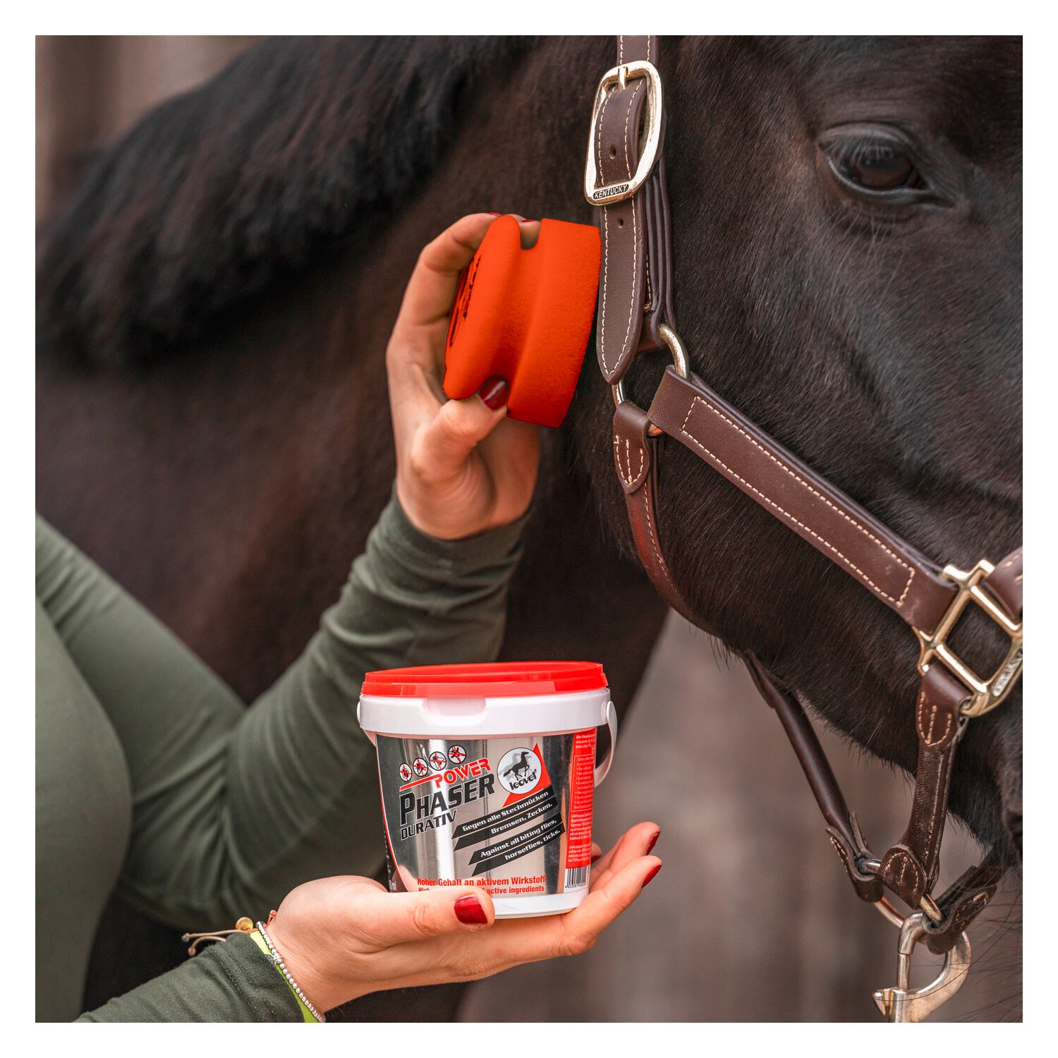 leovet Power Phaser Durativ – Ansicht 2