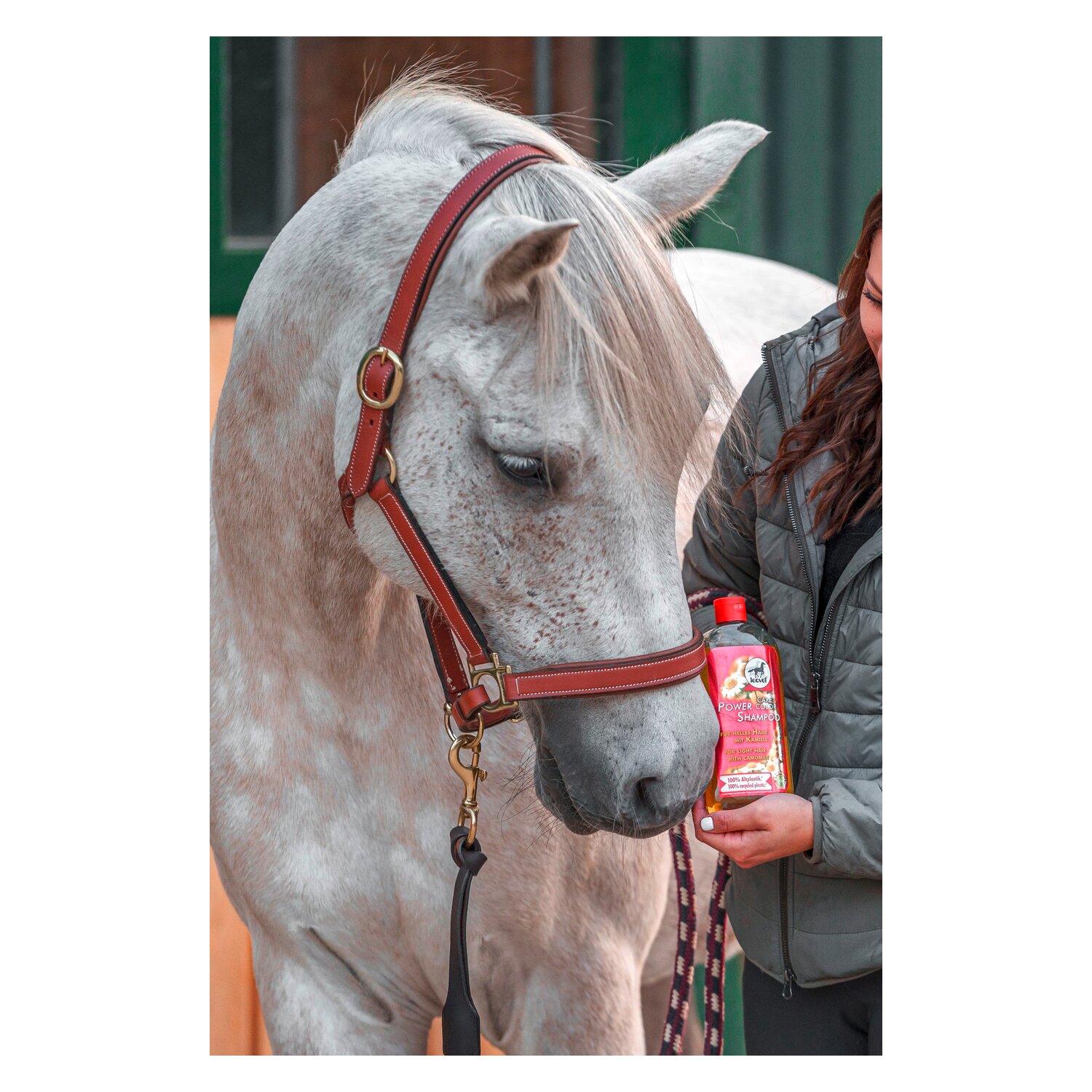 leovet Power Shampoo mit Kamille – Ansicht 3