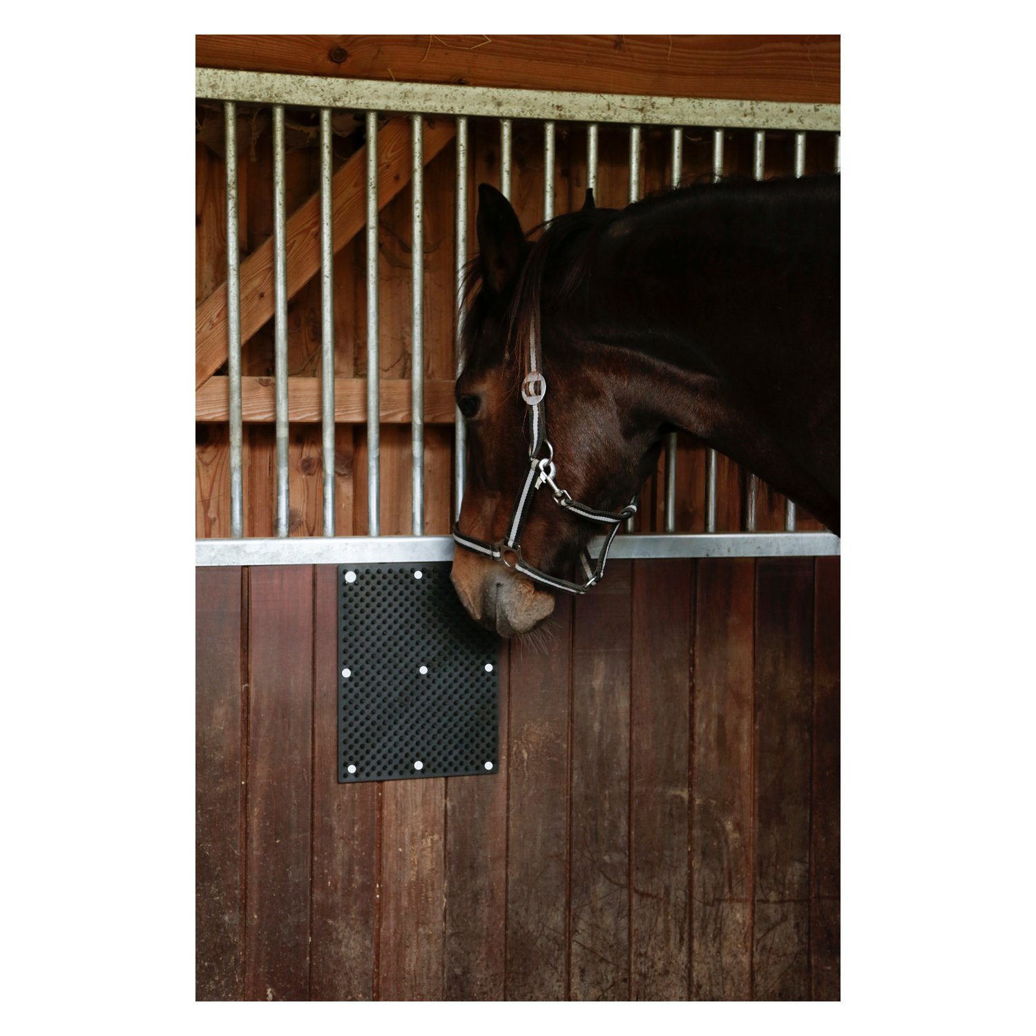 KERBL Kratzmatte – Ansicht 2