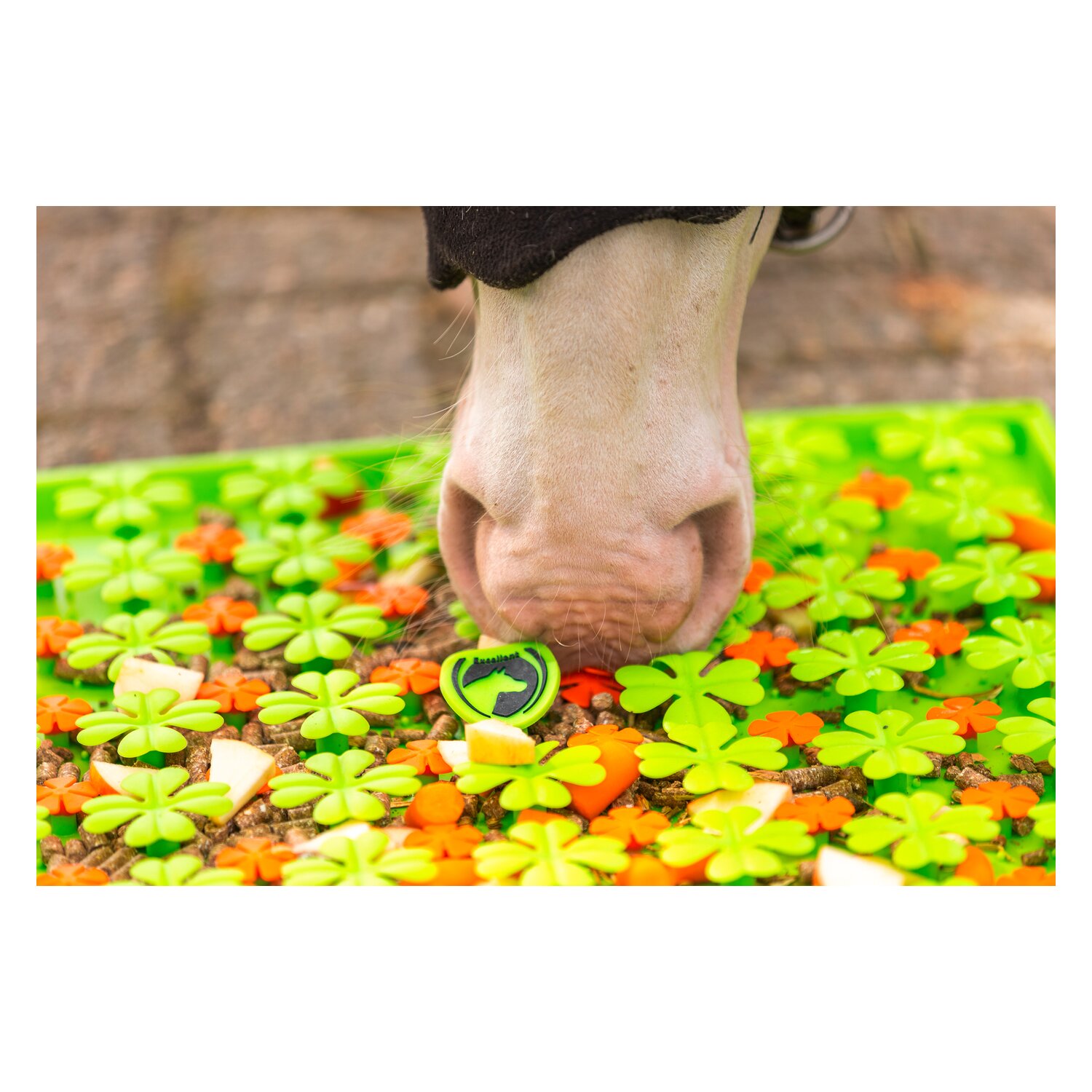 Excellent Schnüffelmatte für Pferde – Ansicht 3