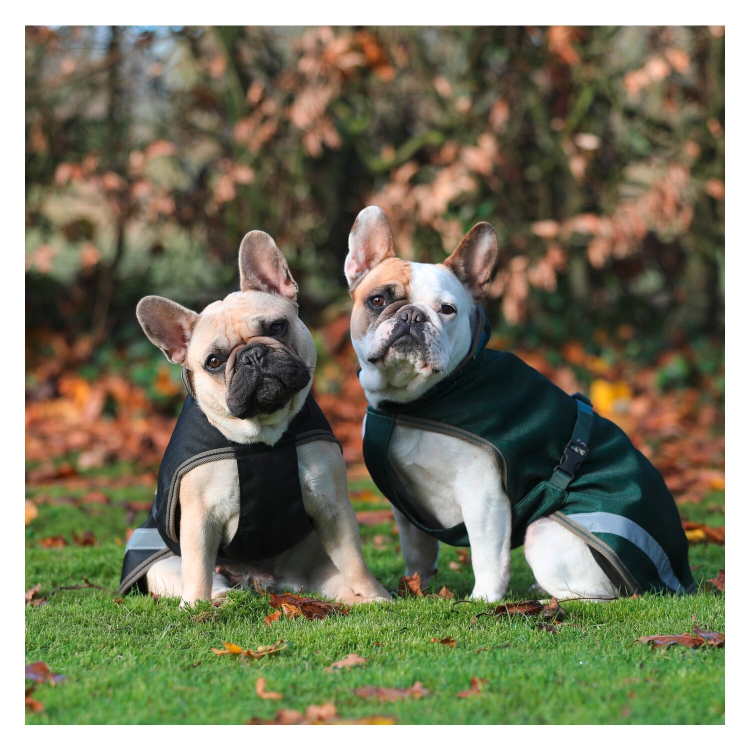 bucas Hundemantel Dog Rug Freedom 50 g – Ansicht 4