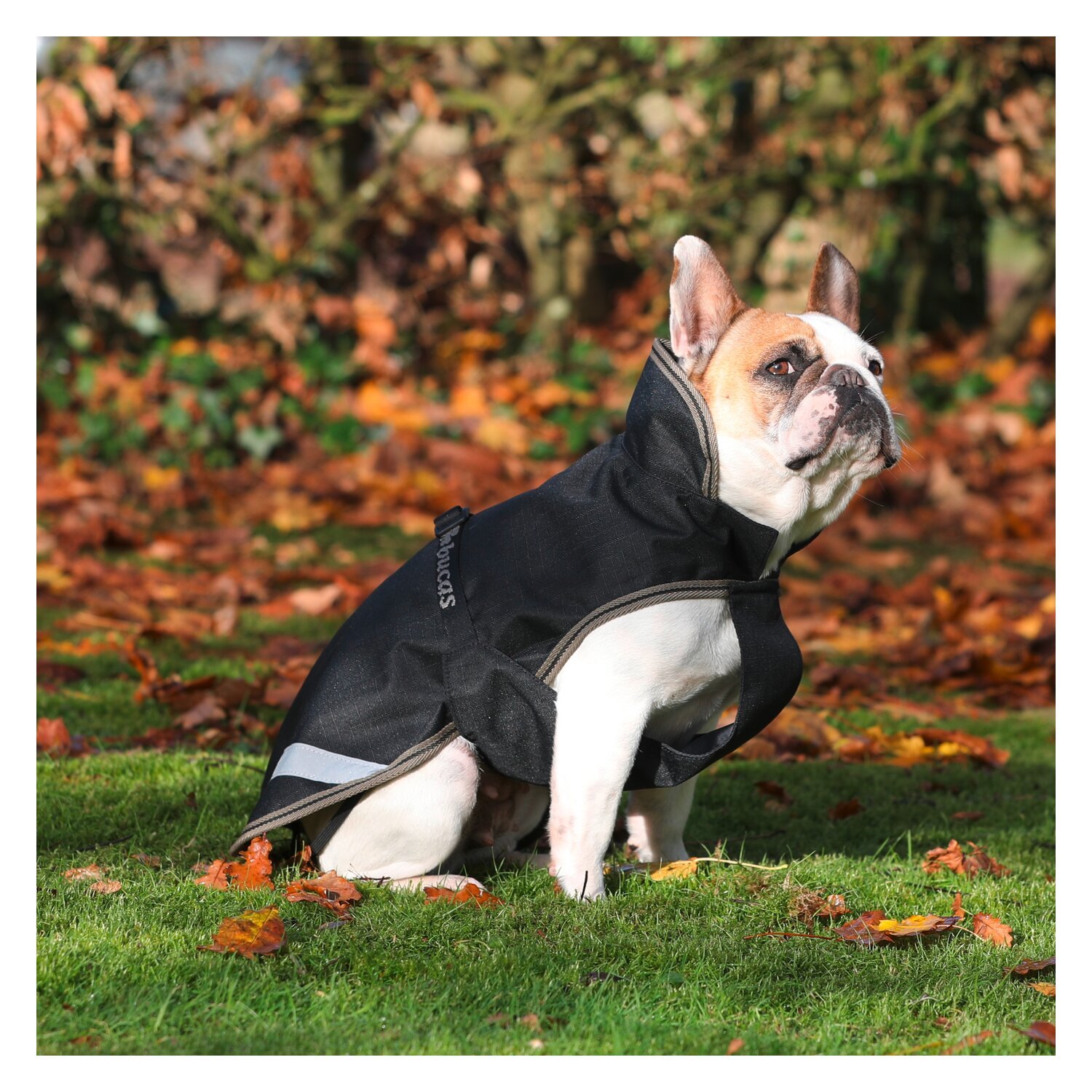 bucas Hundemantel Dog Rug Freedom 50 g – Ansicht 1