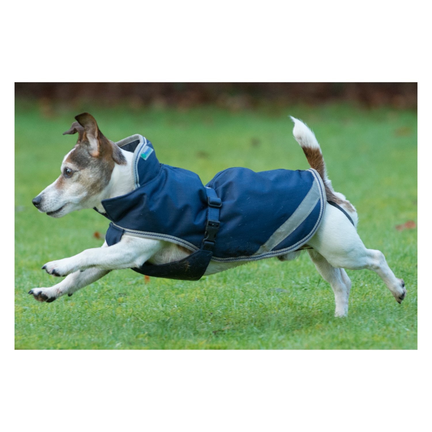 bucas Hundemantel Dog Rug Freedom 50 g &ndash; Ansicht 2