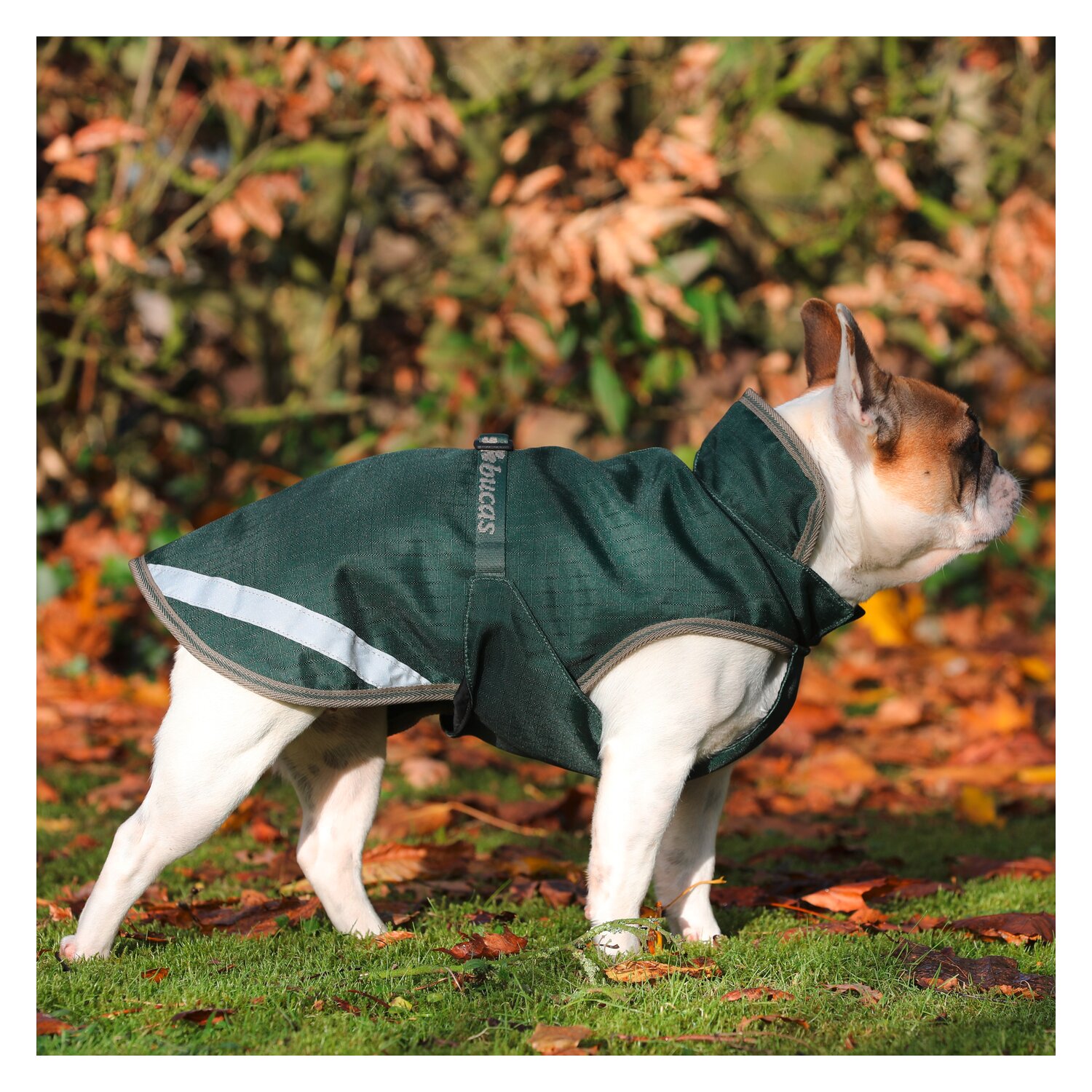 bucas Hundemantel Dog Rug Freedom 50 g blau/grau 35 cm