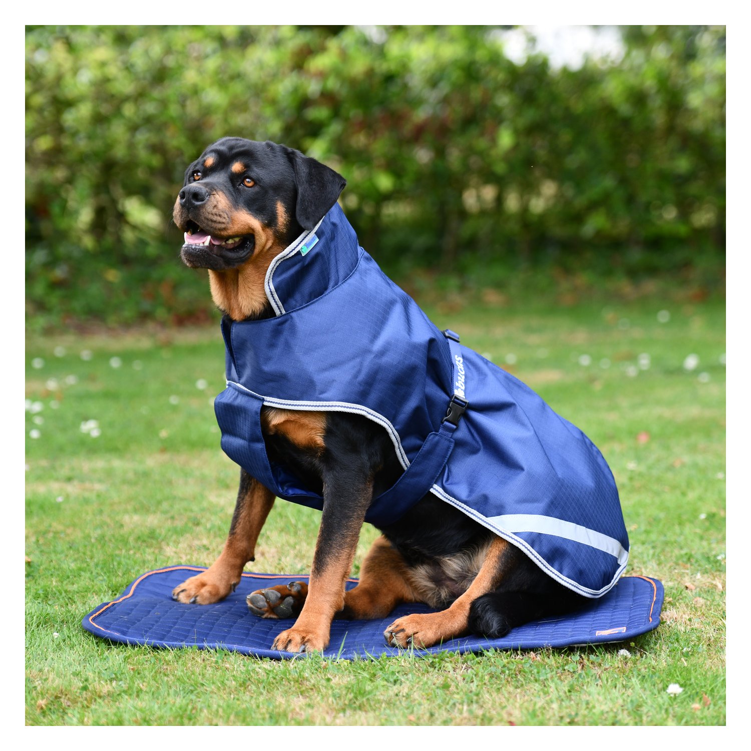 bucas Hundemantel Dog Rug Freedom 300 g – Ansicht 1