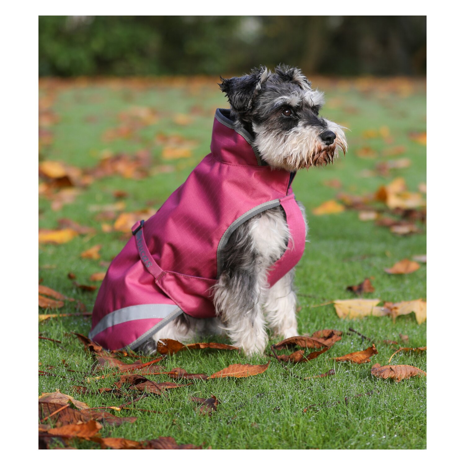 bucas Hundemantel Dog Rug Freedom 300 g – Ansicht 2