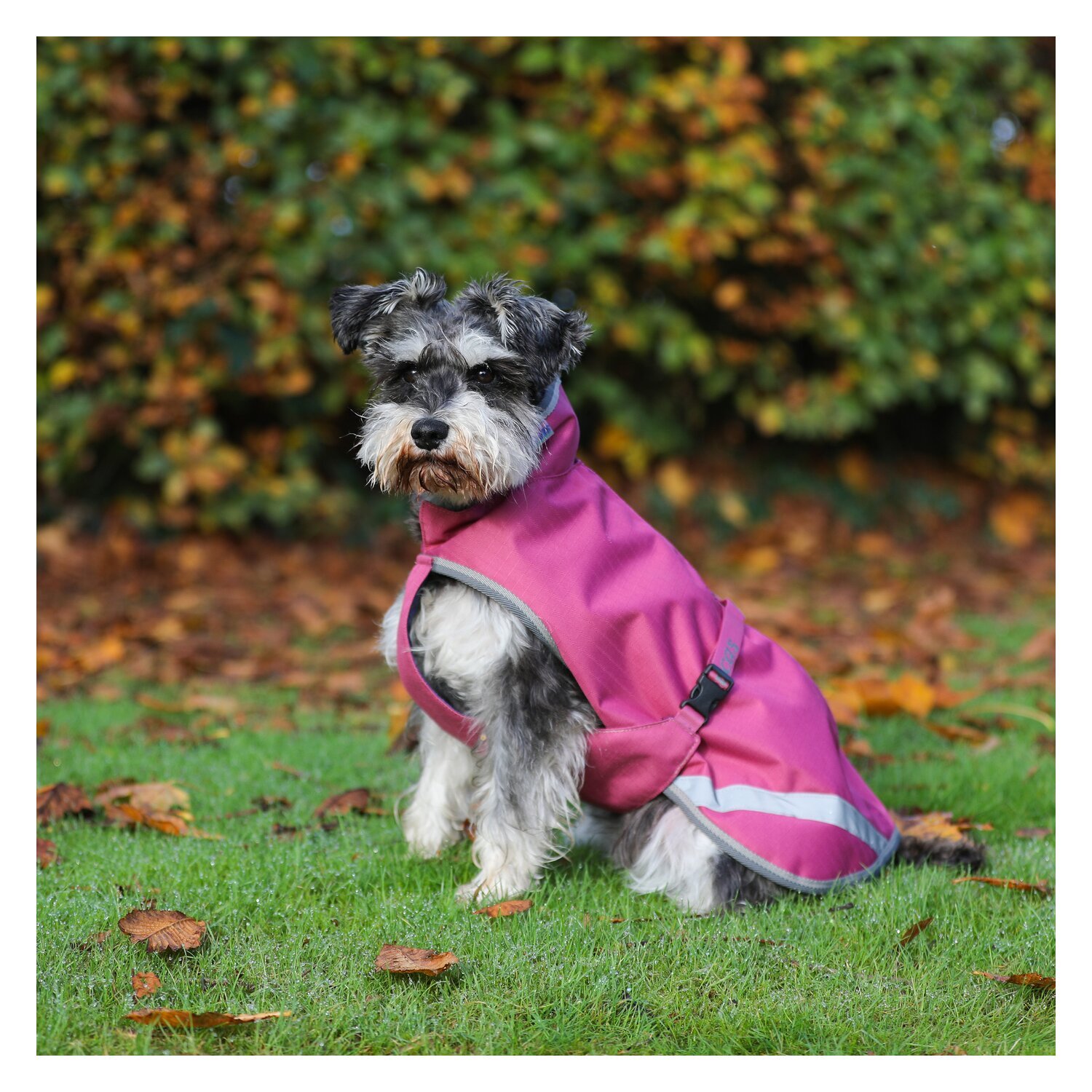 bucas Hundemantel Dog Rug Freedom 300 g – Ansicht 1