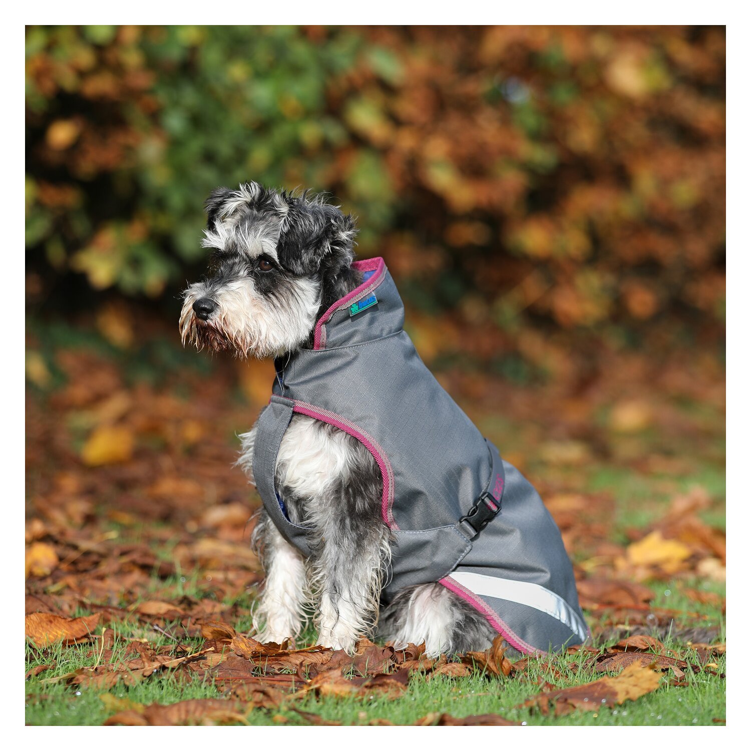 bucas Hundemantel Dog Rug Freedom 300 g – Ansicht 1