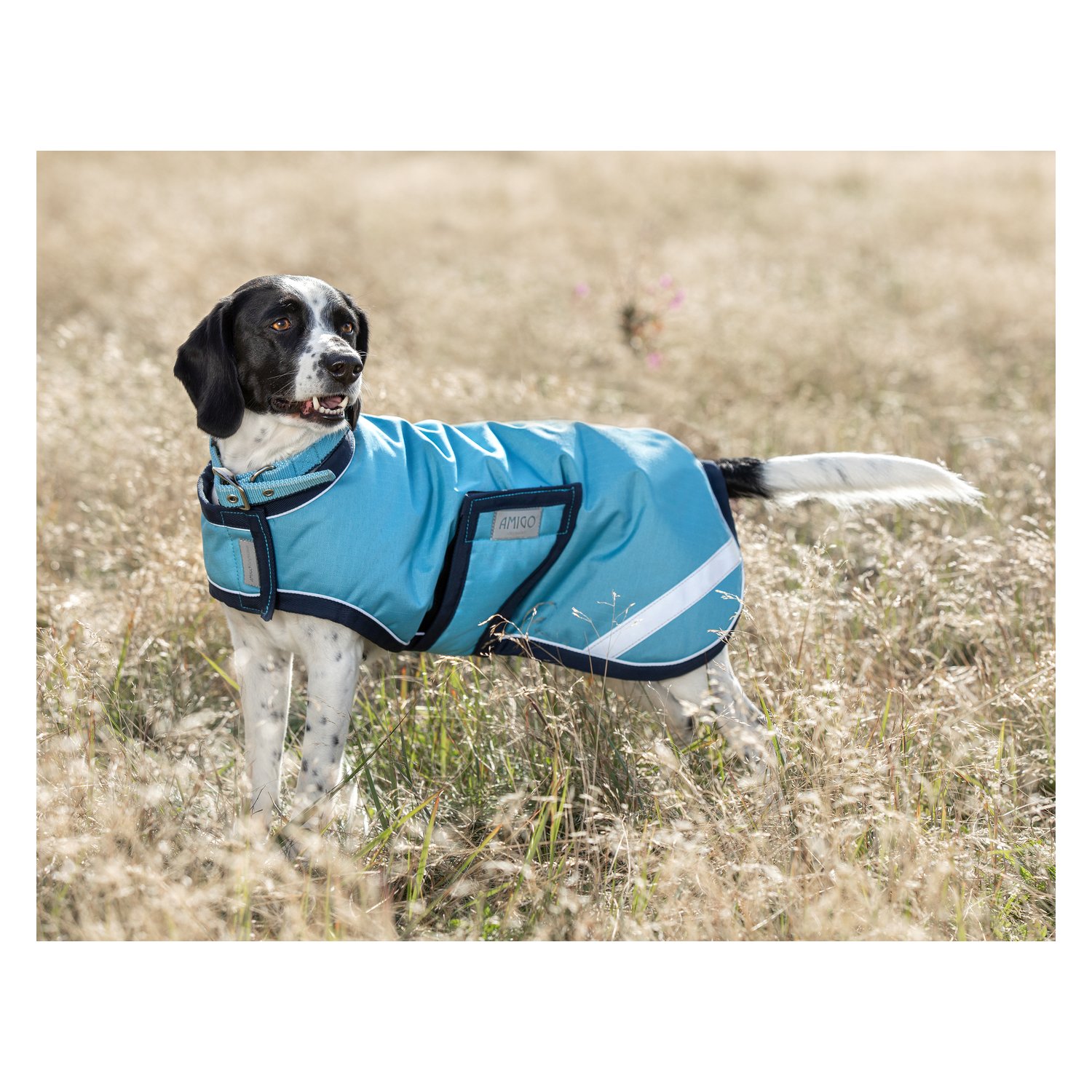 Horseware Hundemantel AMIGO Dog Rug – Ansicht 1