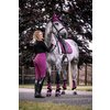 Cavallo Reitleggings CAVALLIN GRIP